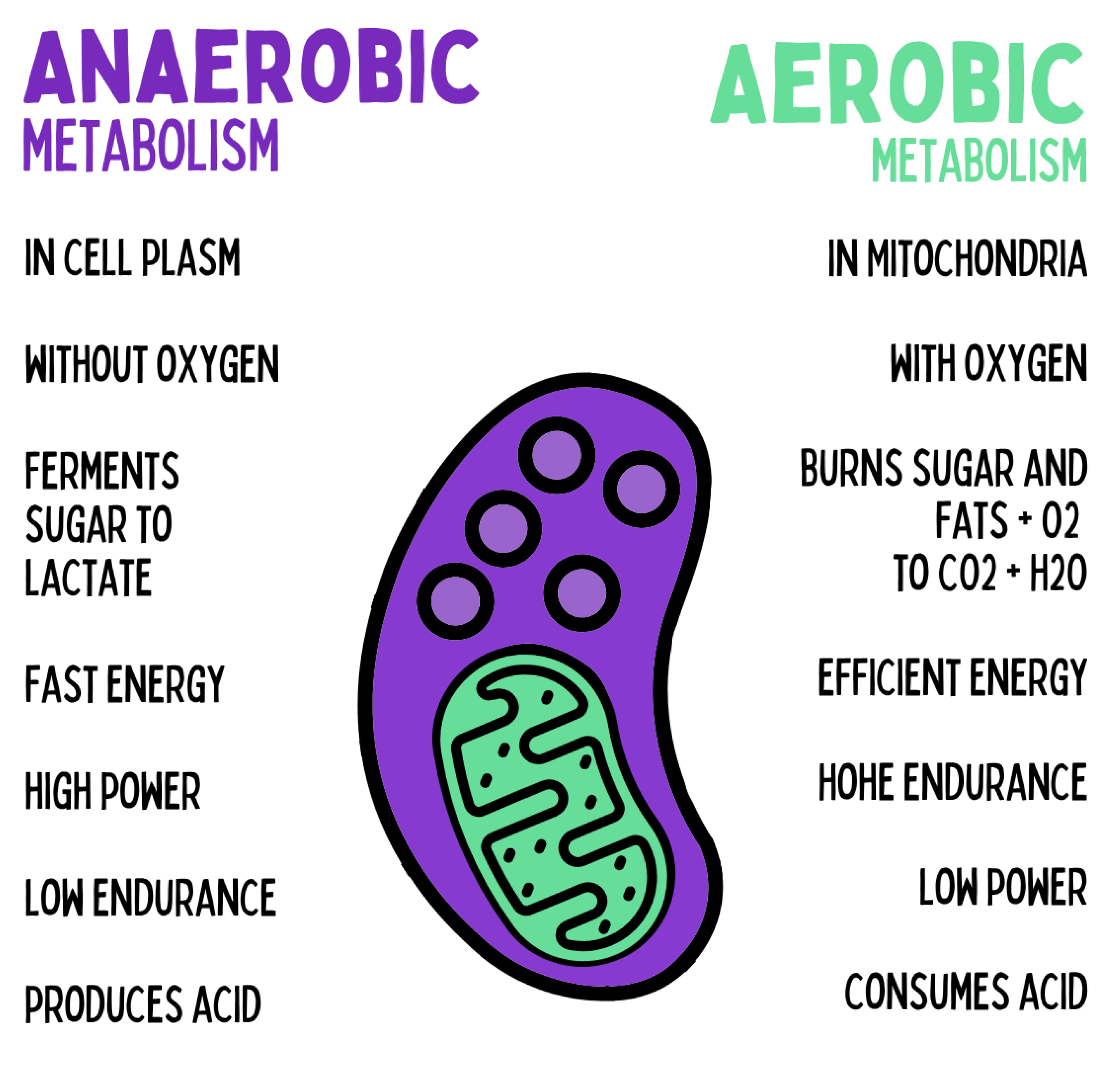 Preprints 180670 g009