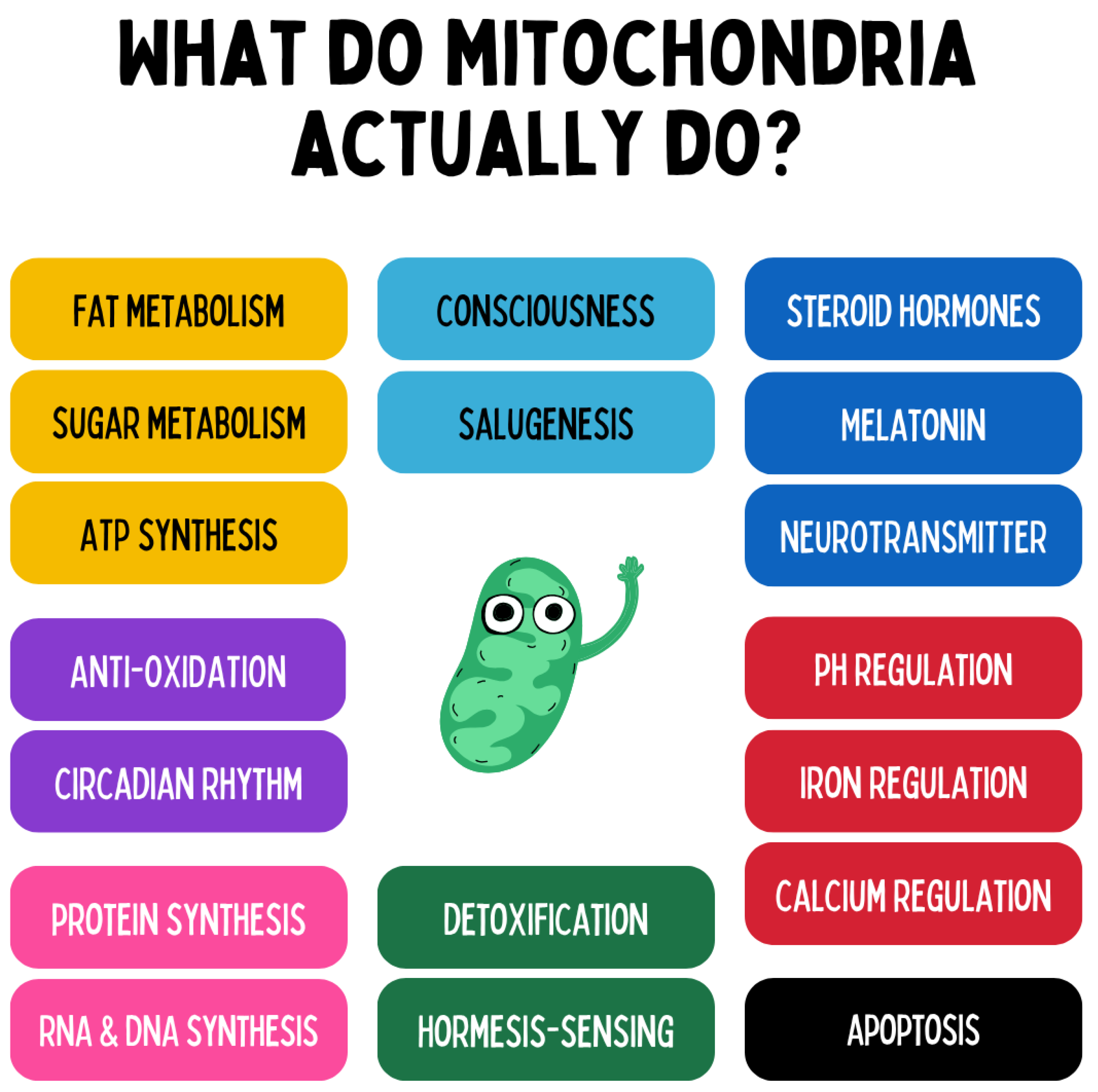 Preprints 180670 g010