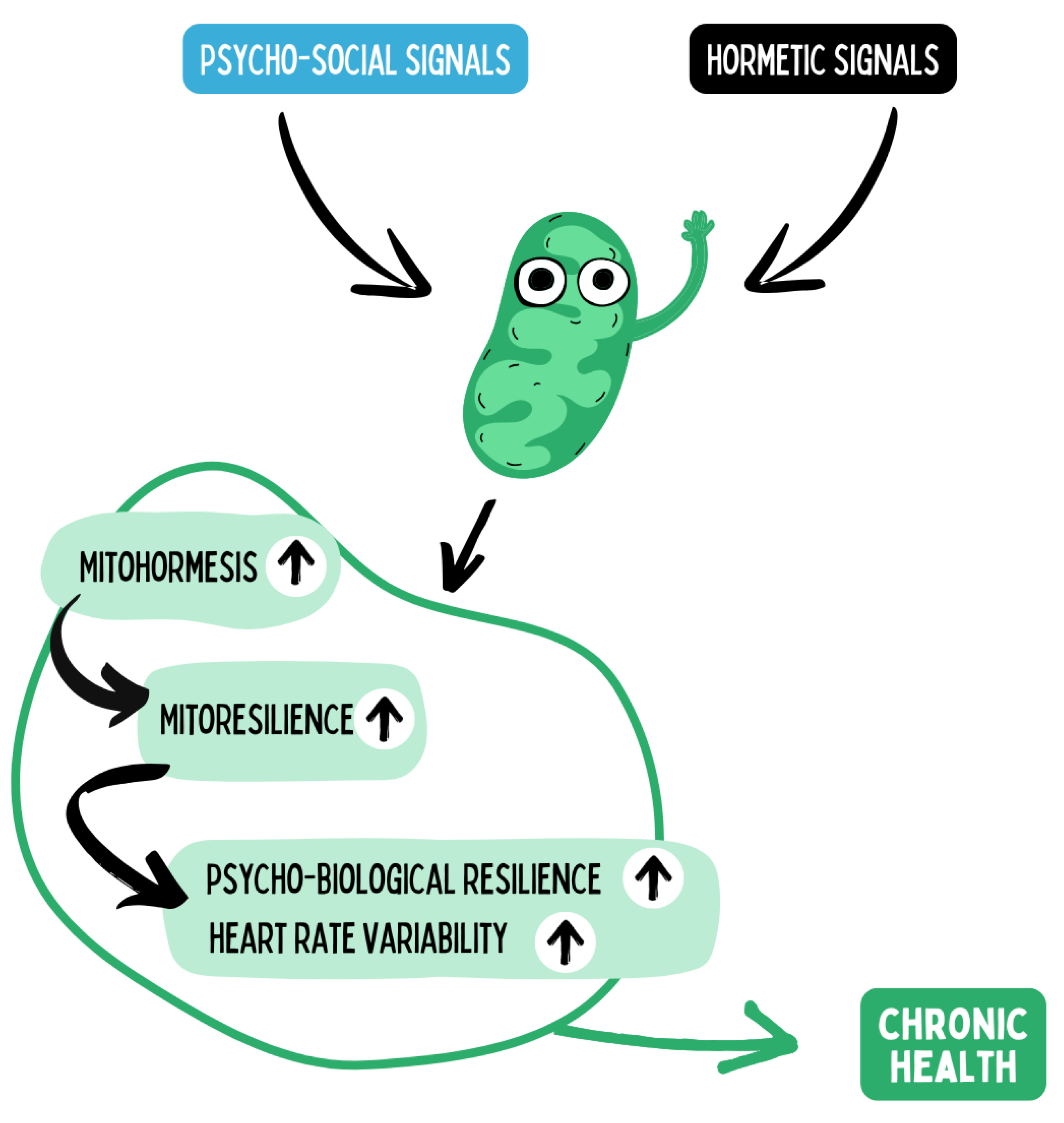 Preprints 180670 g011
