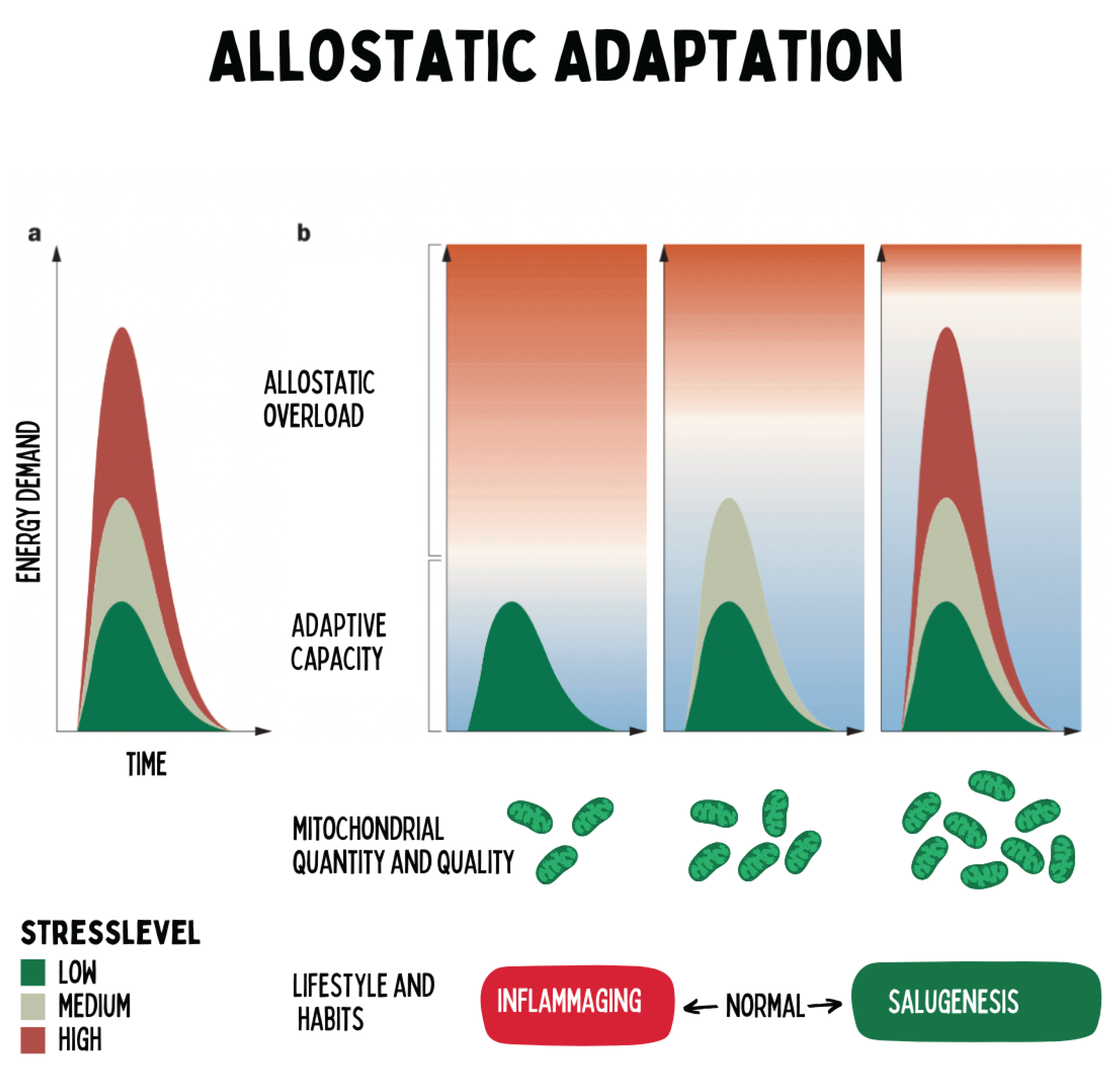 Preprints 180670 g012