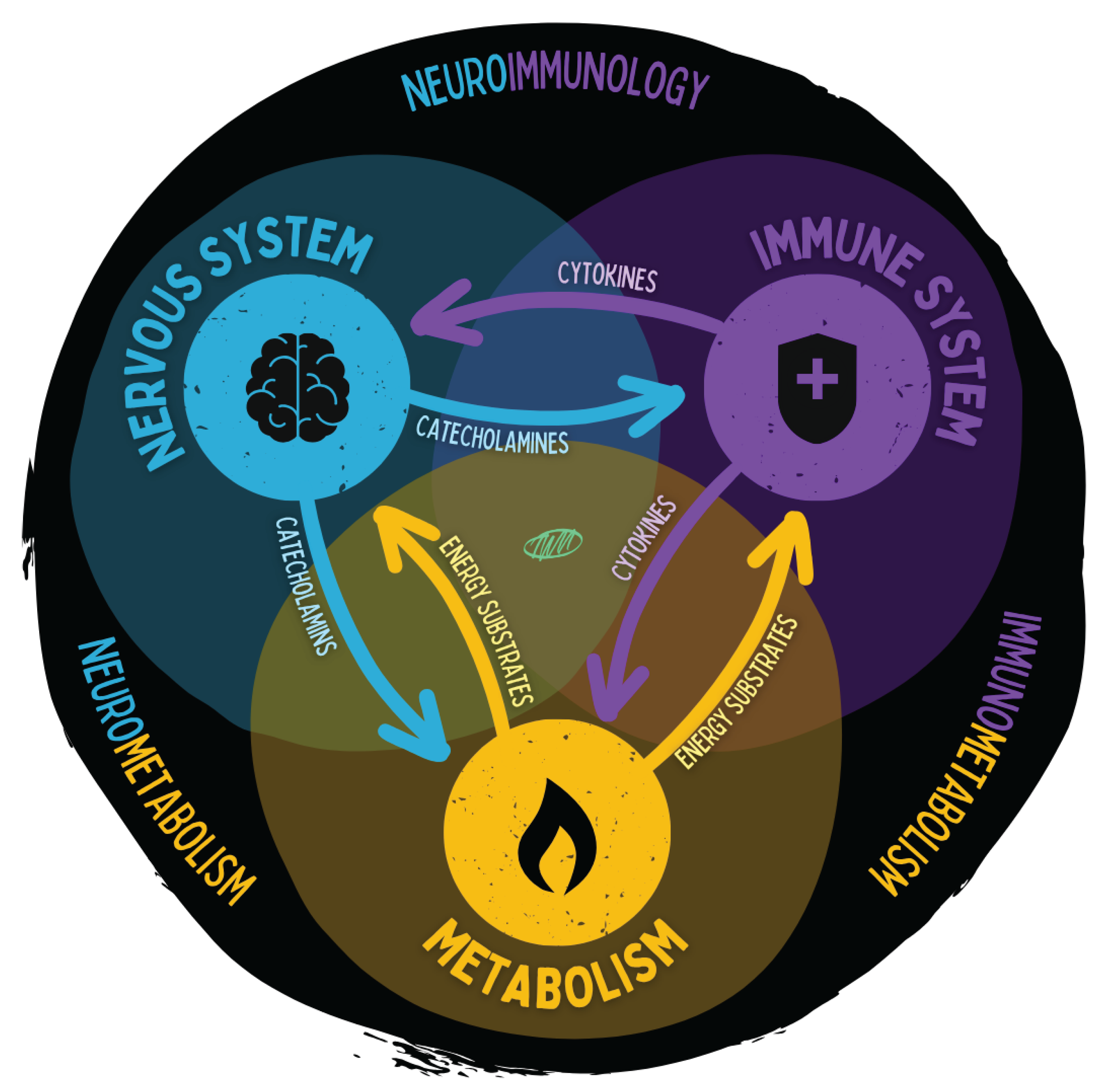 Preprints 180670 g014