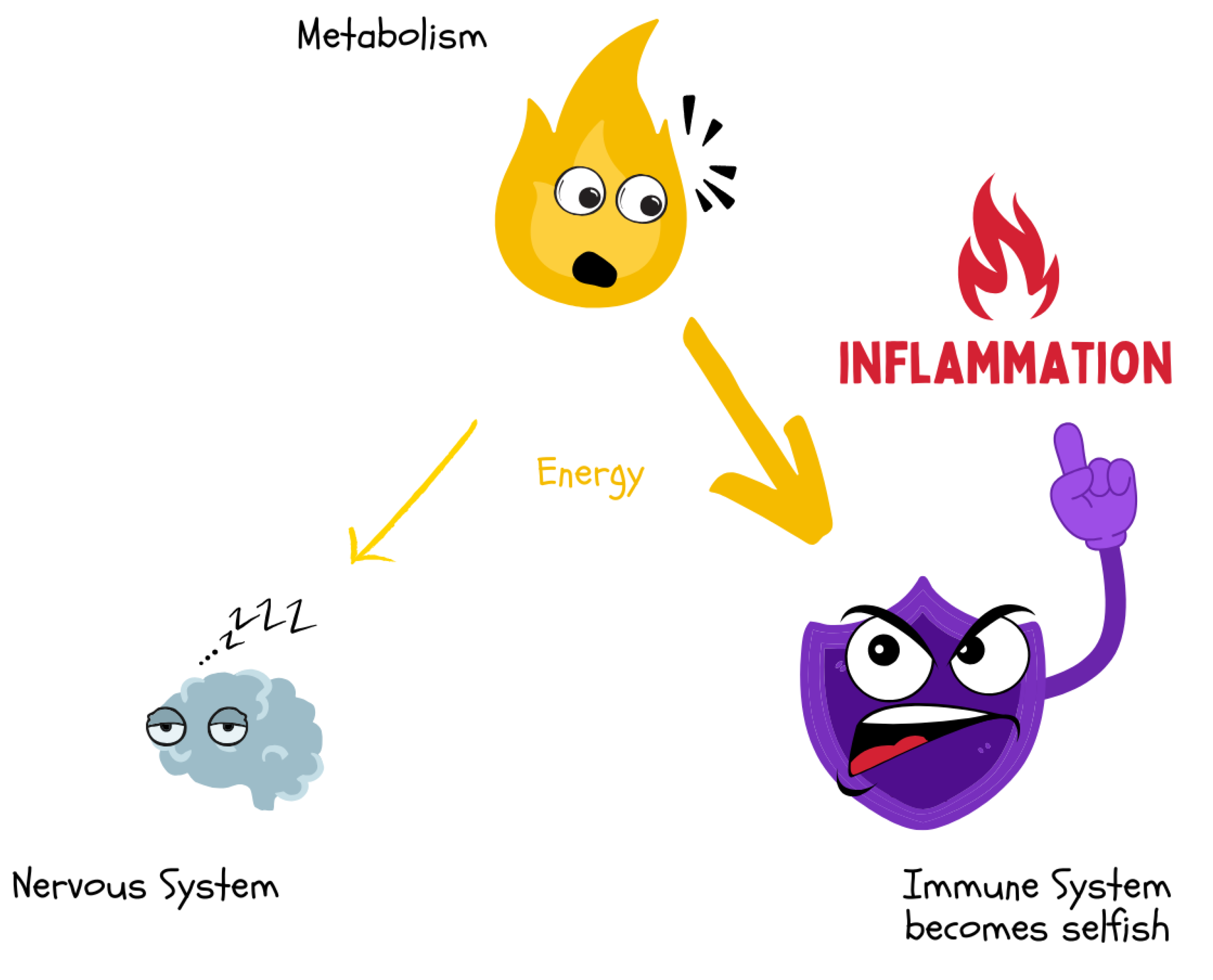 Preprints 180670 g016