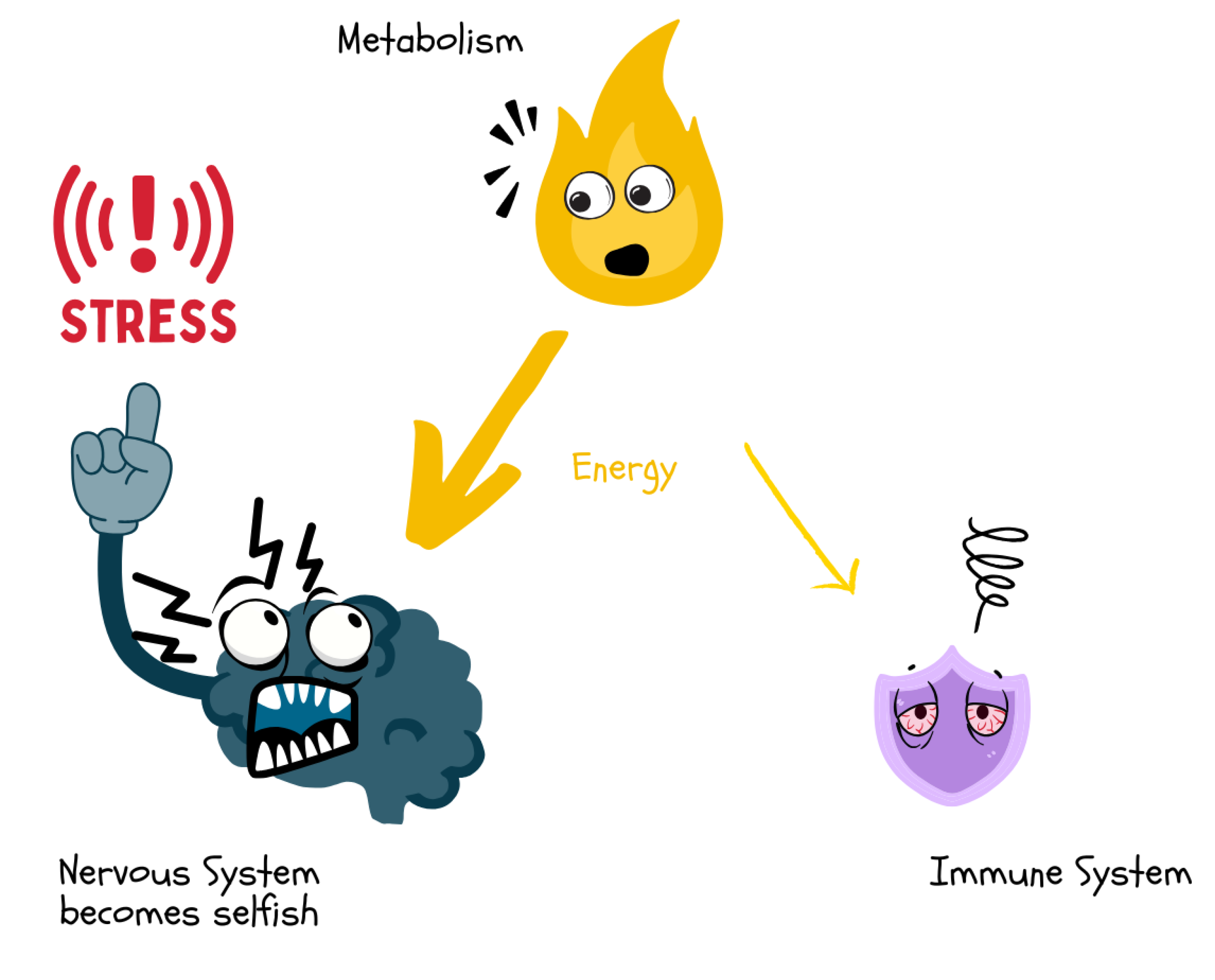 Preprints 180670 g017