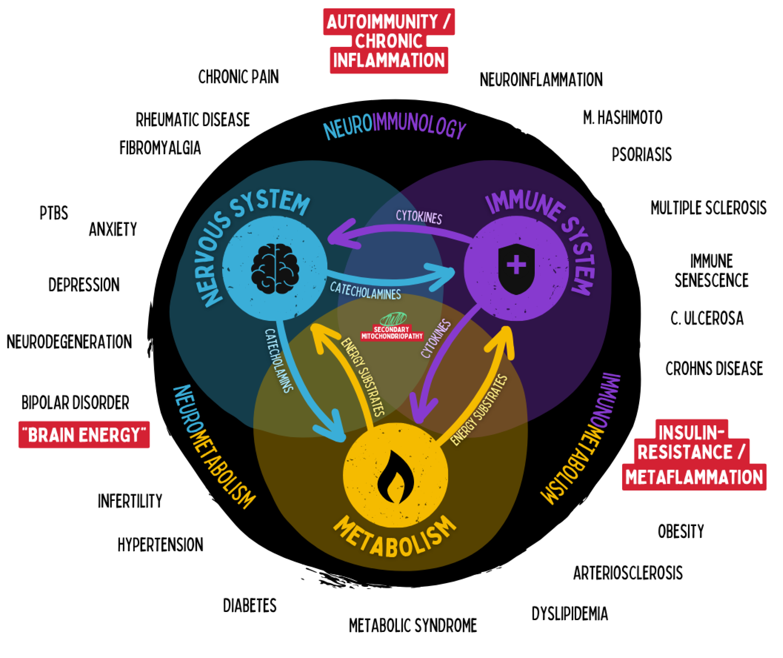 Preprints 180670 g020