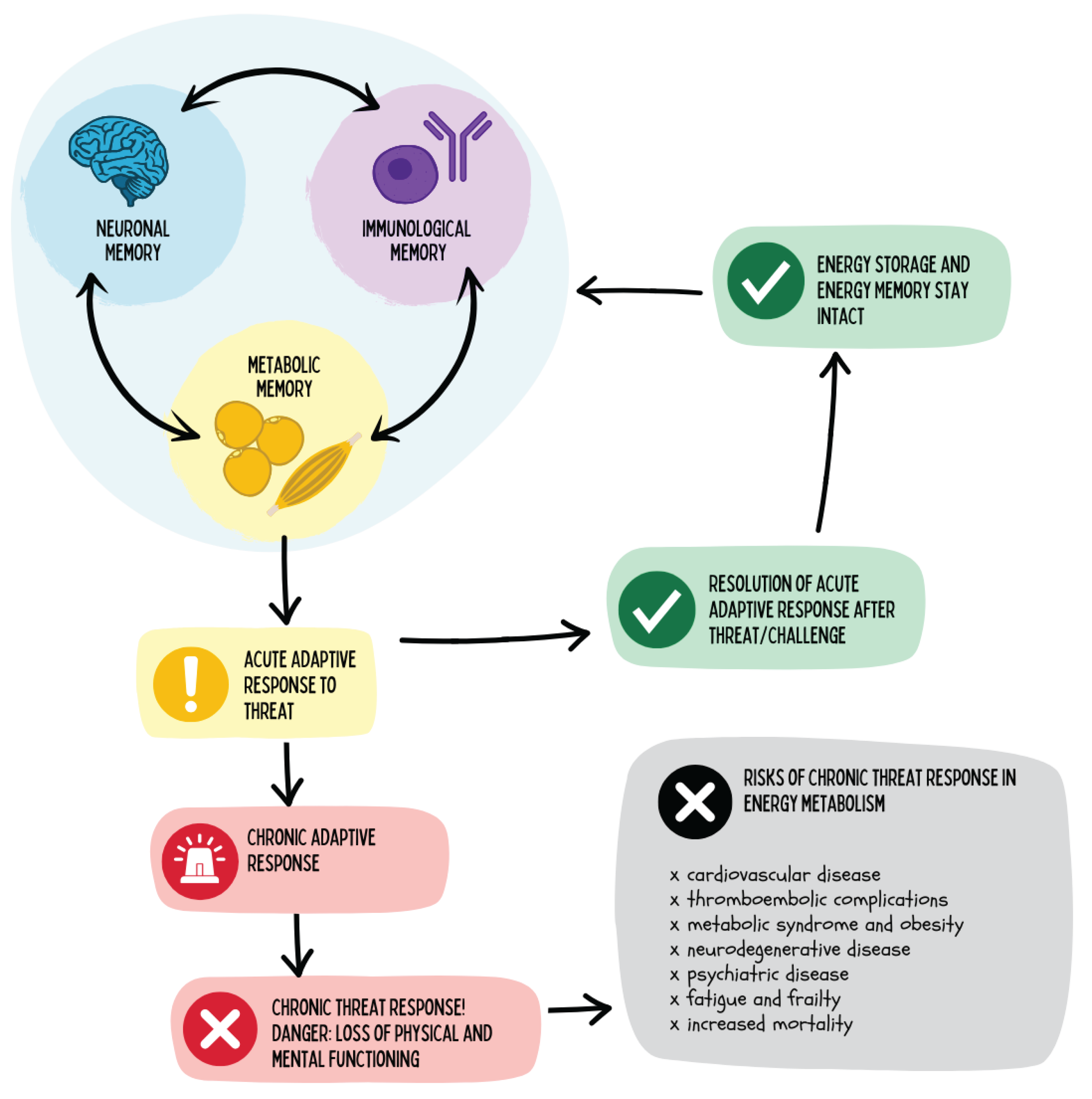 Preprints 180670 g022