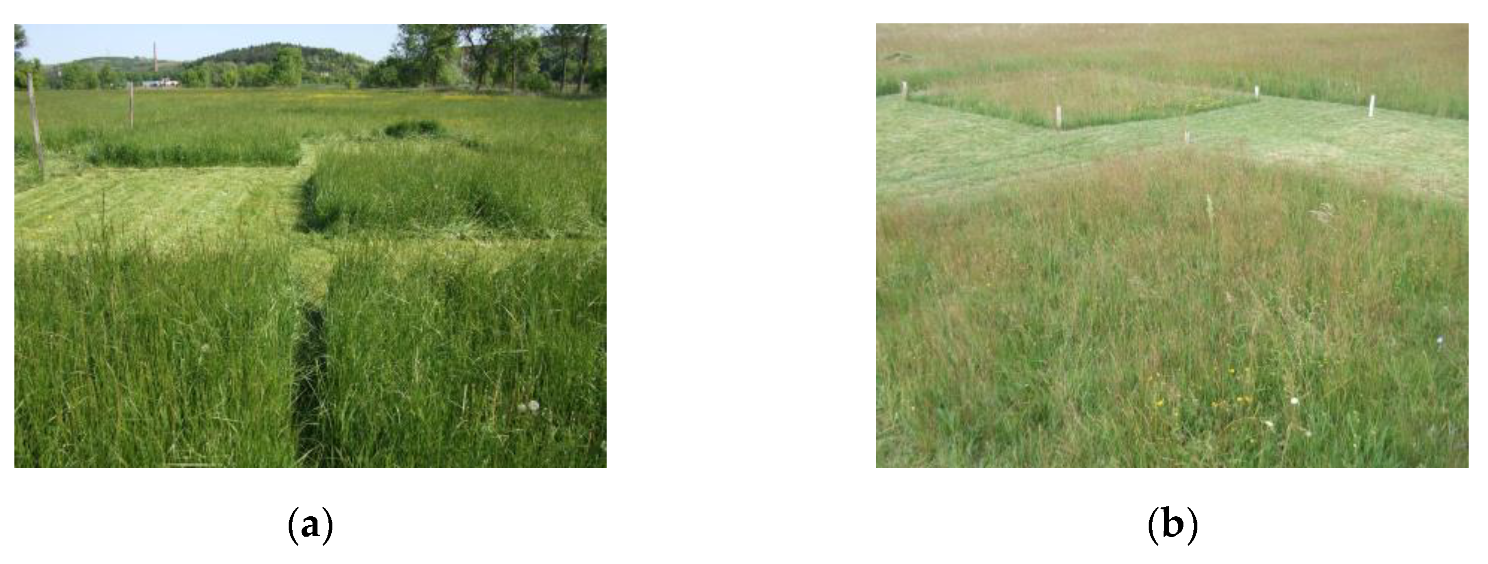 Preprints 171683 g001