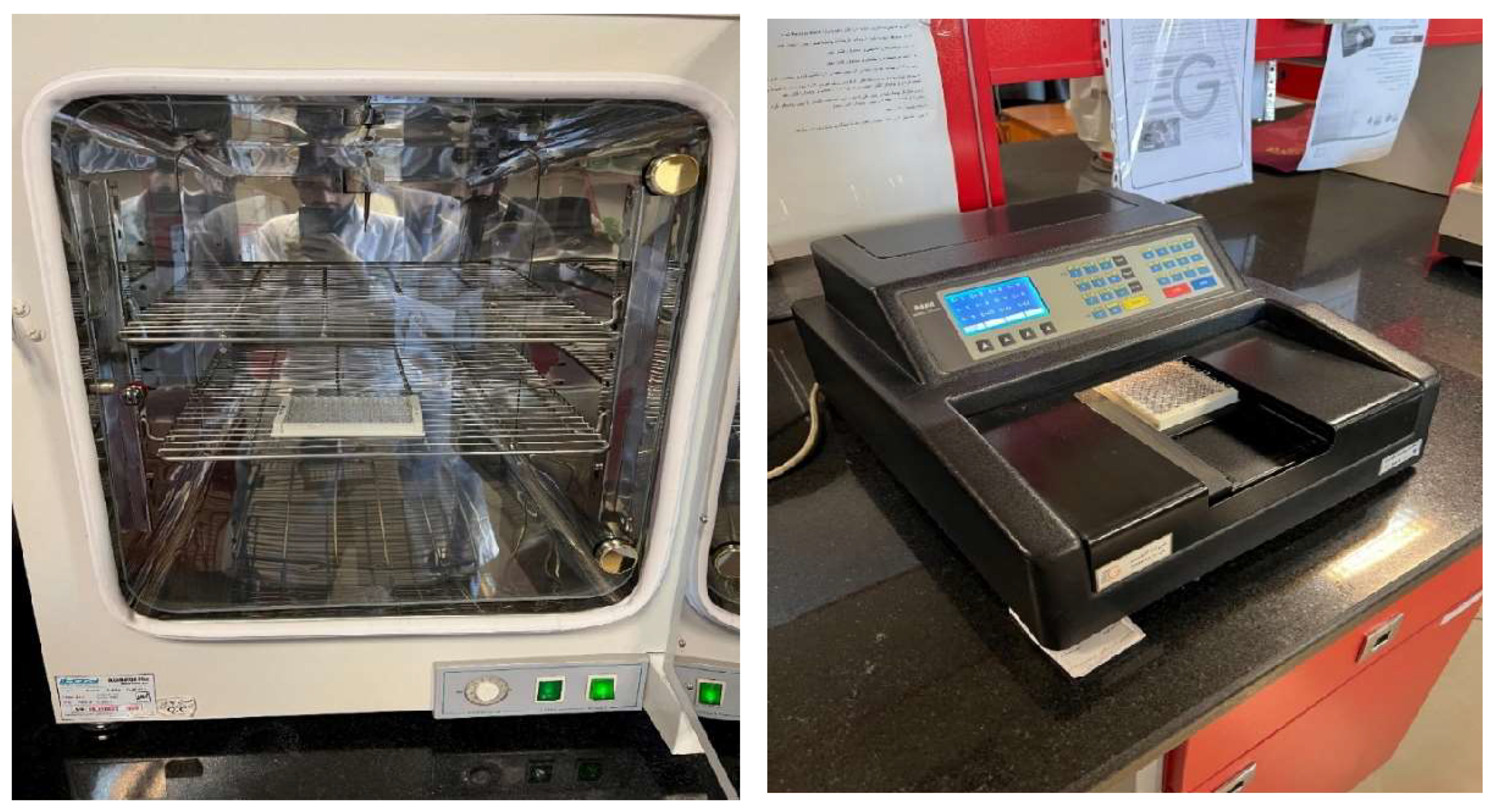 Preprints 159775 g002