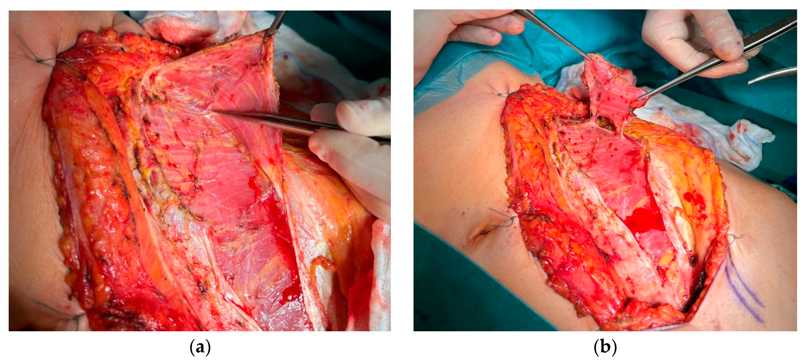 Preprints 172886 g001