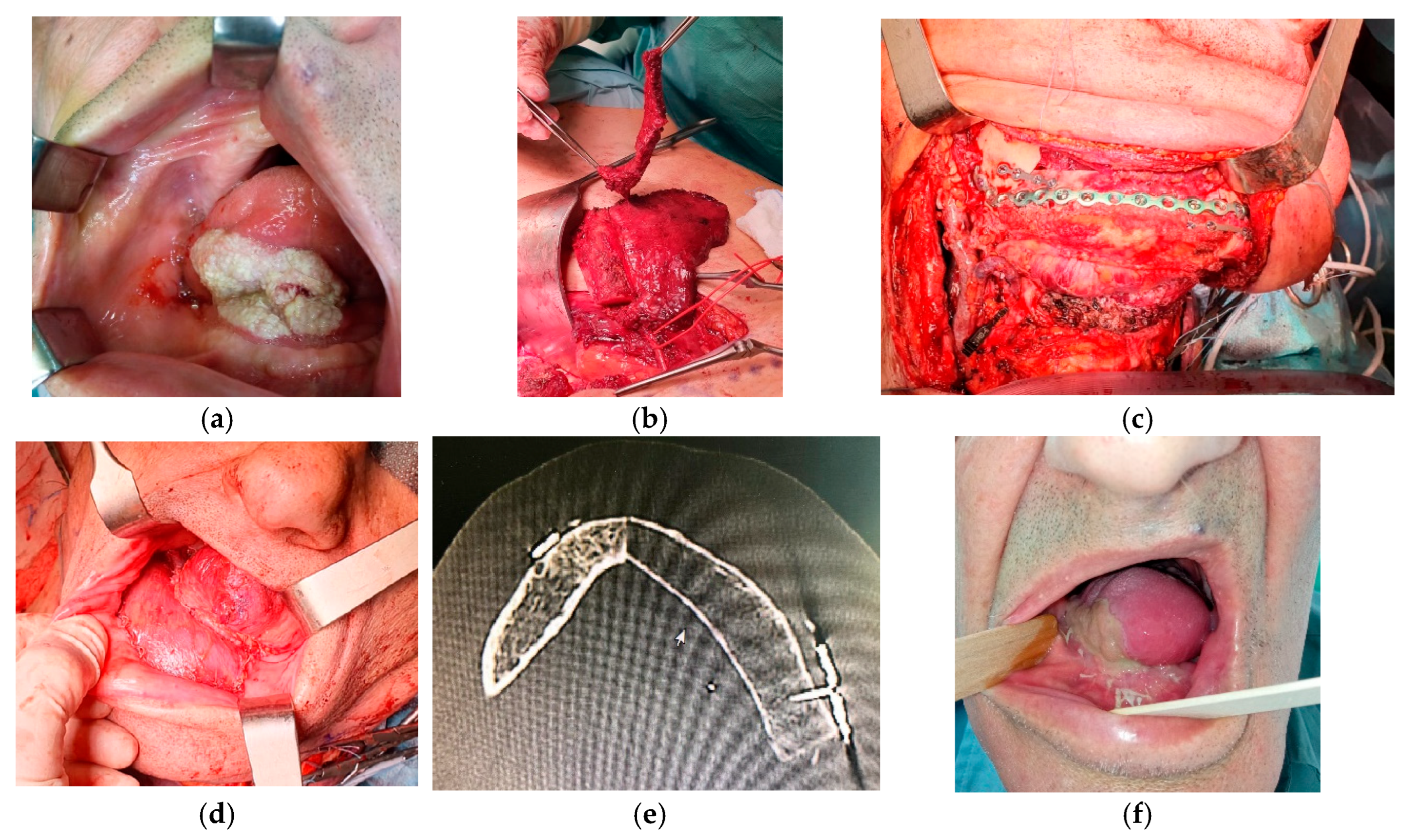 Preprints 172886 g002