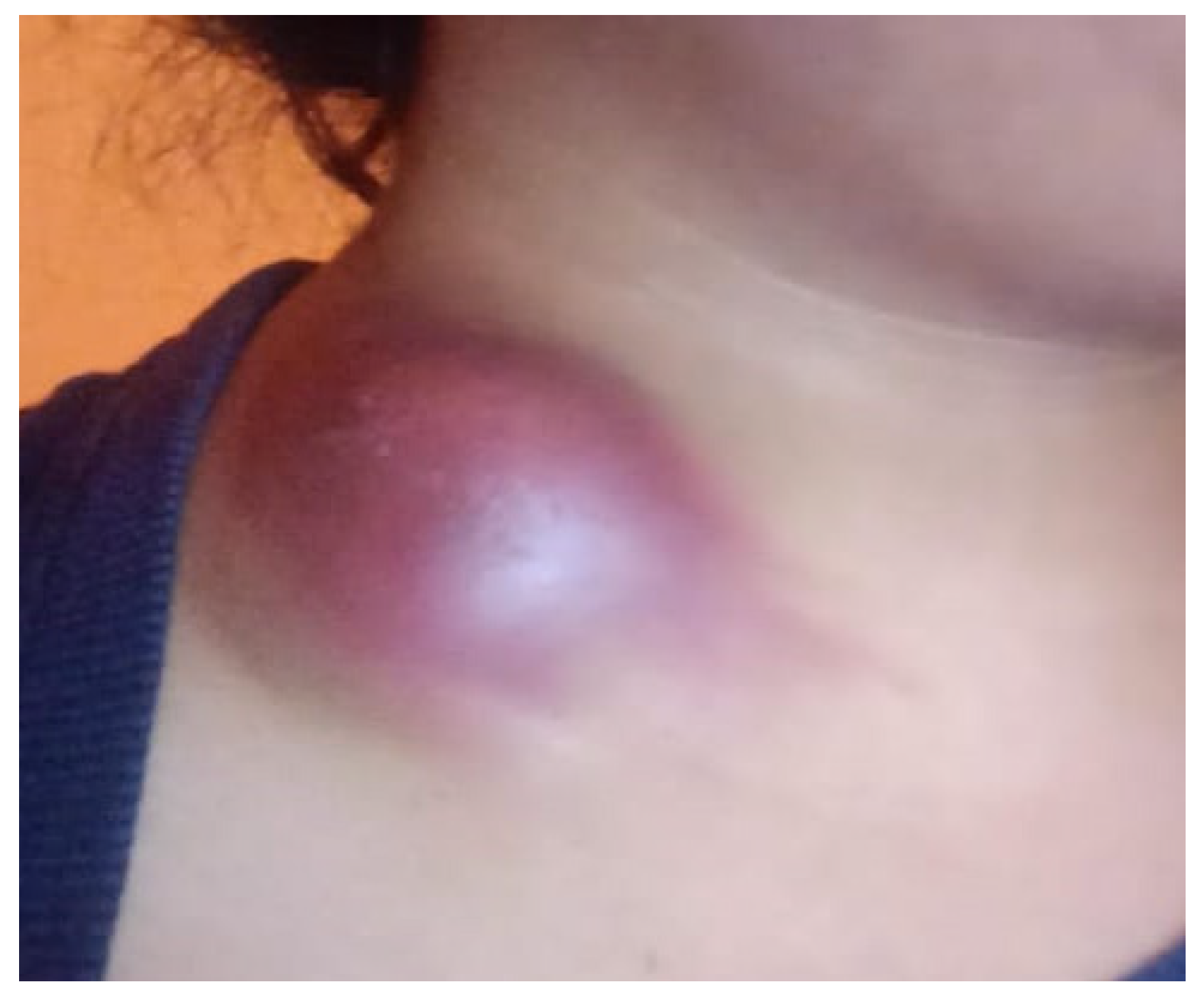 Preprints 149068 g001