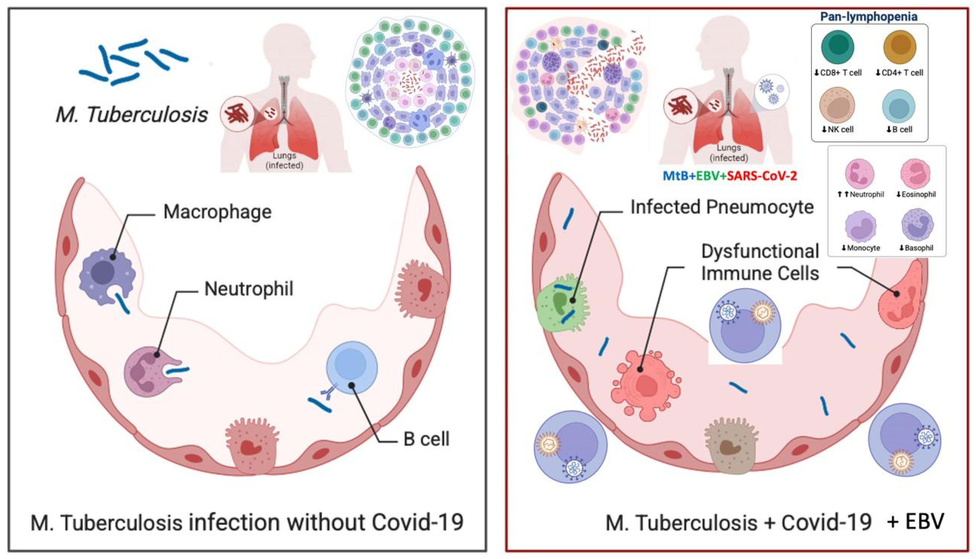 Preprints 149068 g004