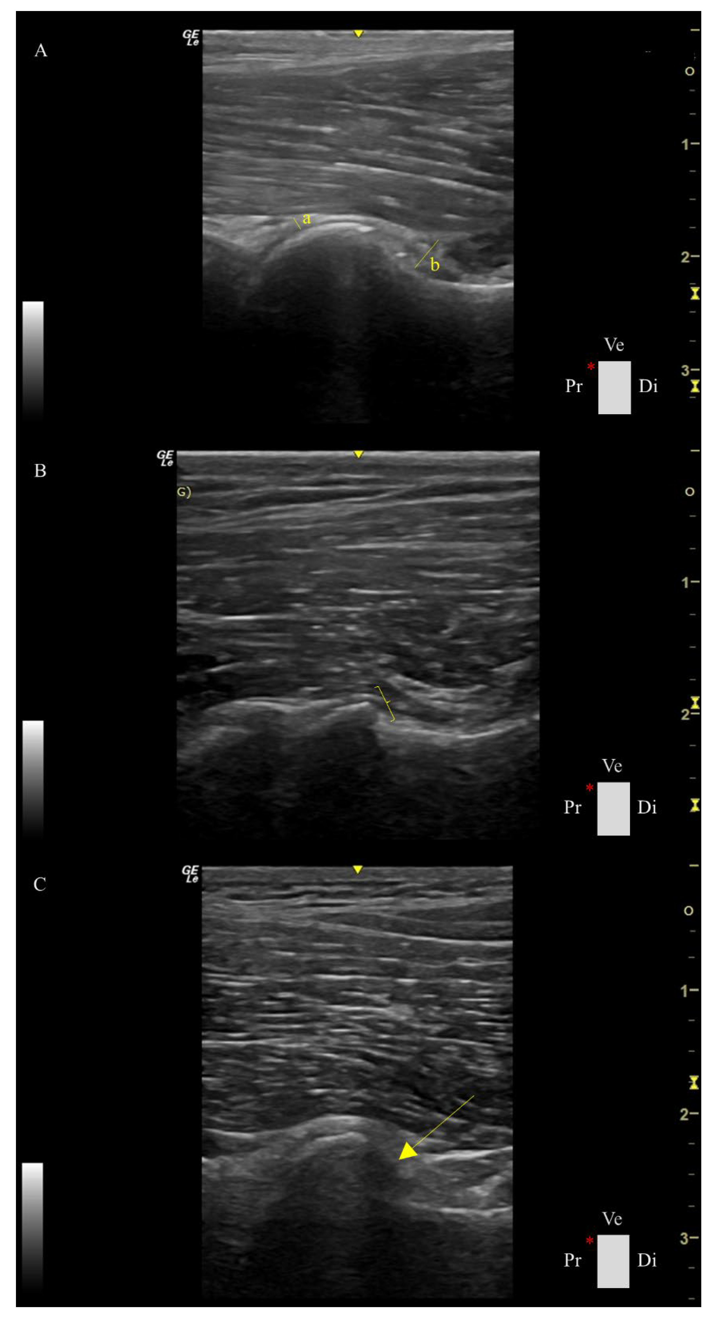 Preprints 179317 g001