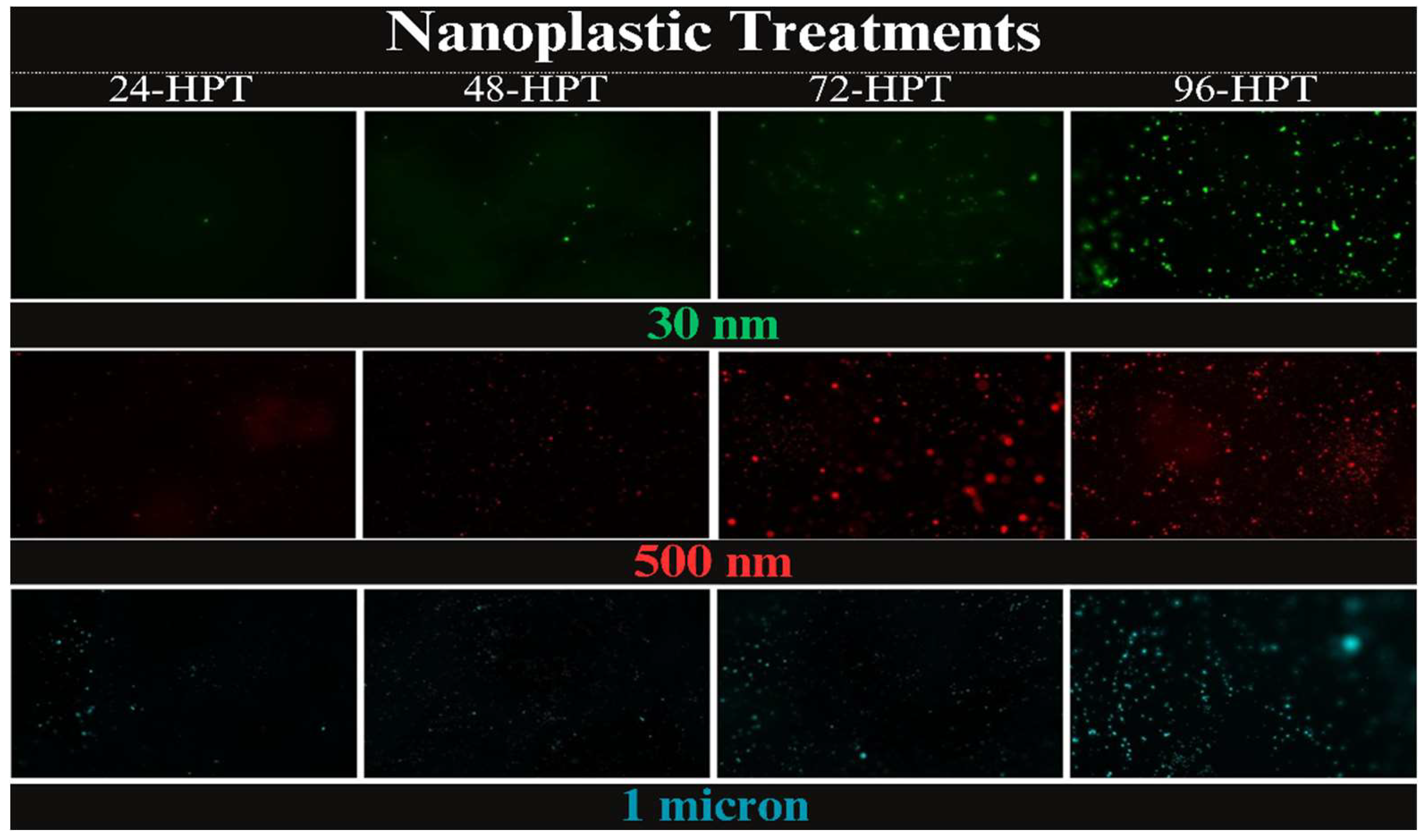 Preprints 141590 g001
