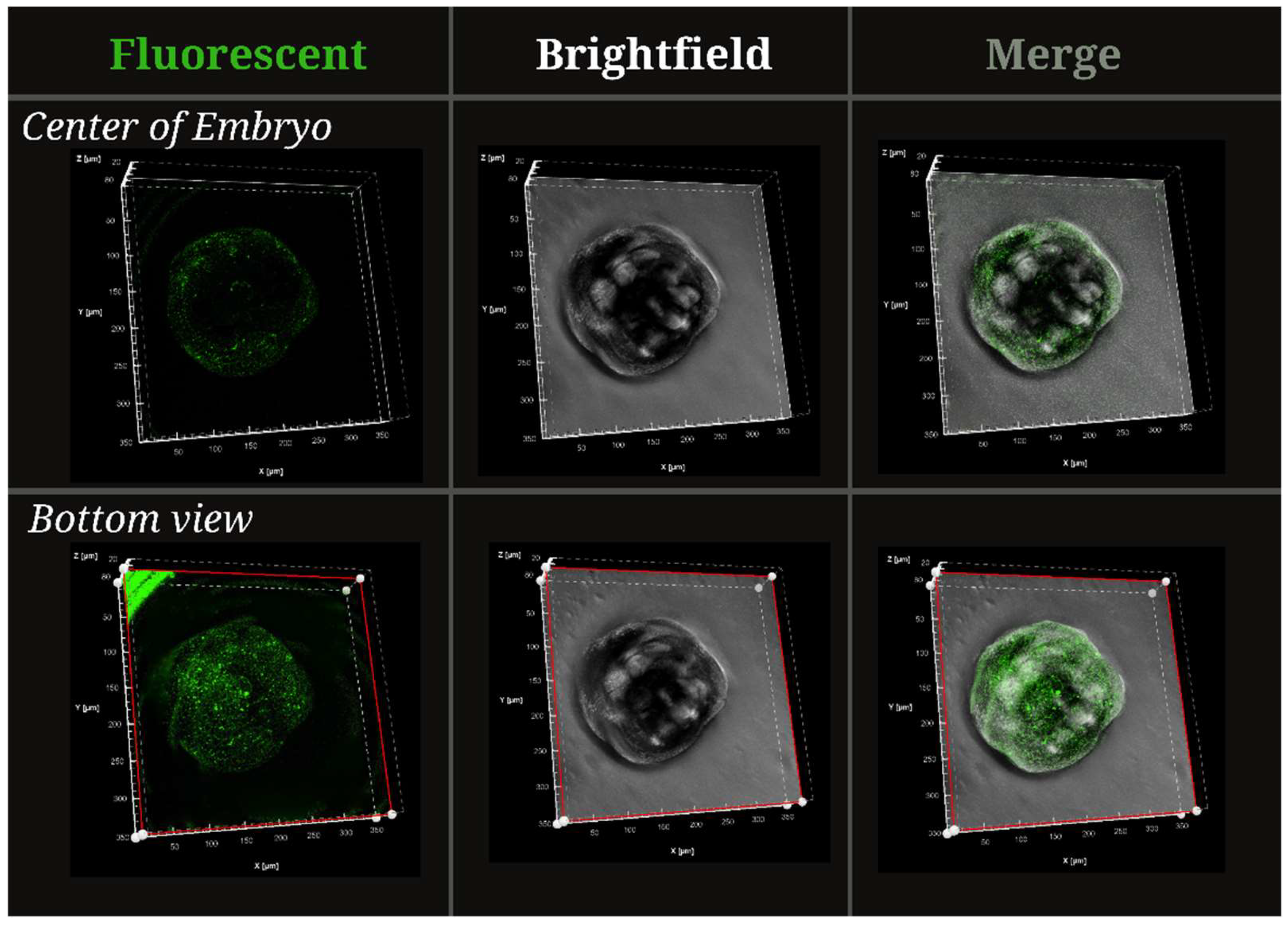 Preprints 141590 g003