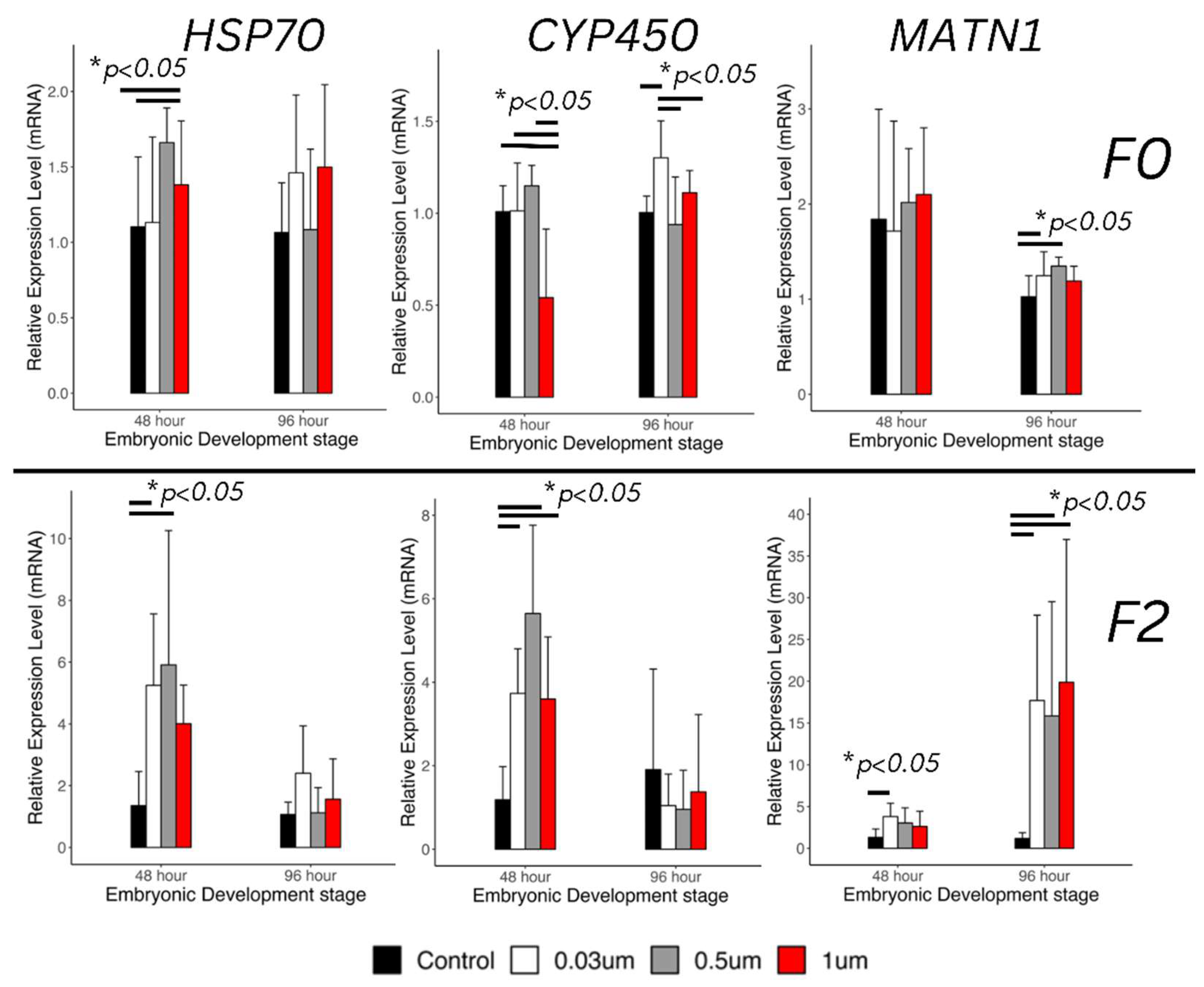 Preprints 141590 g008
