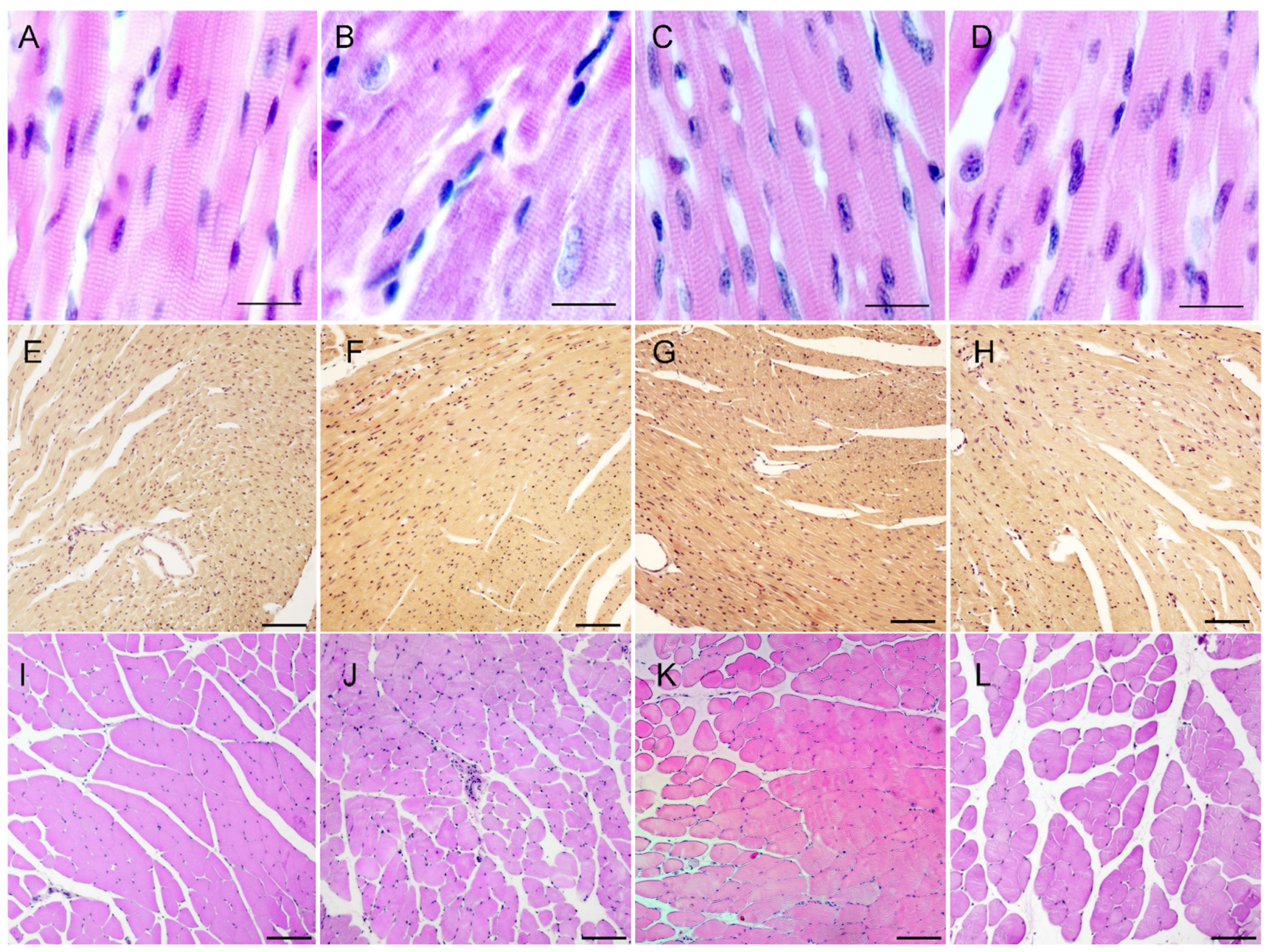 Preprints 139897 g006