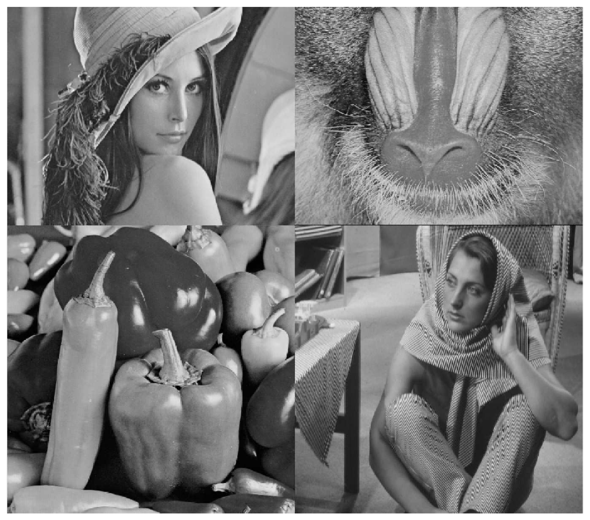 Preprints 190232 g013