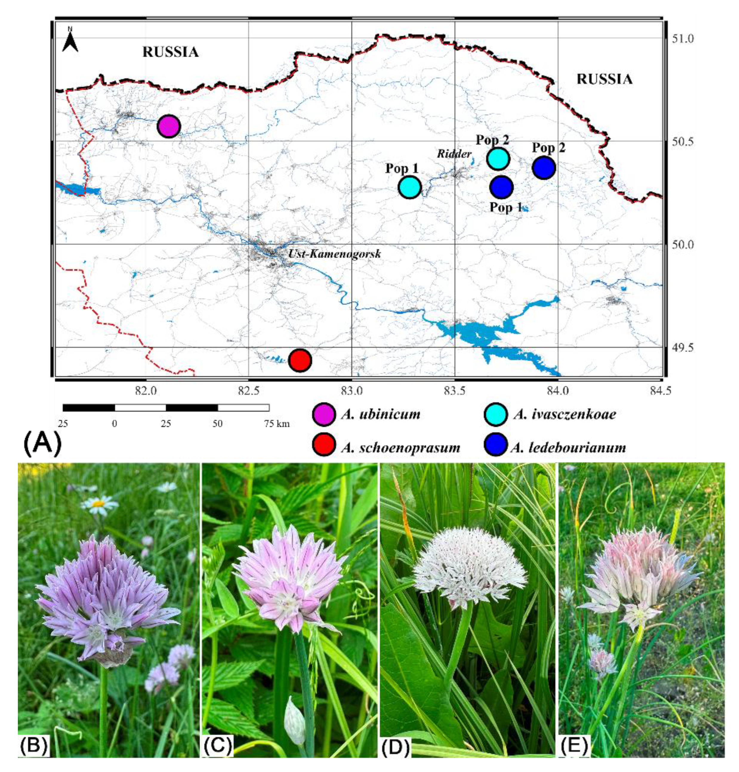 Preprints 184781 g001