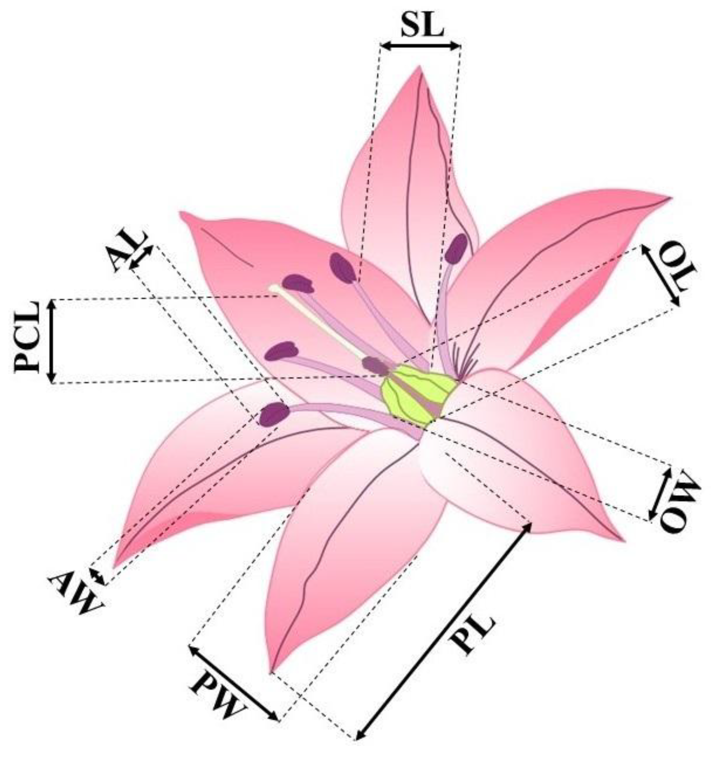 Preprints 184781 g002
