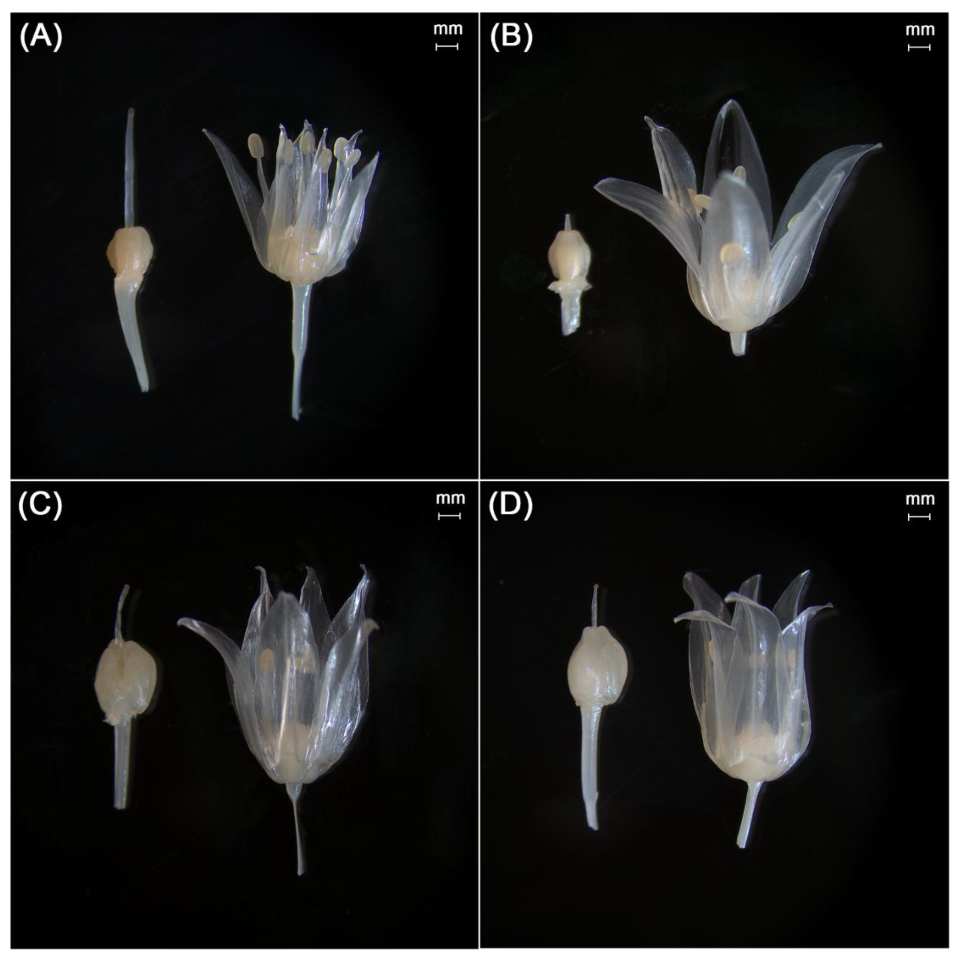 Preprints 184781 g004