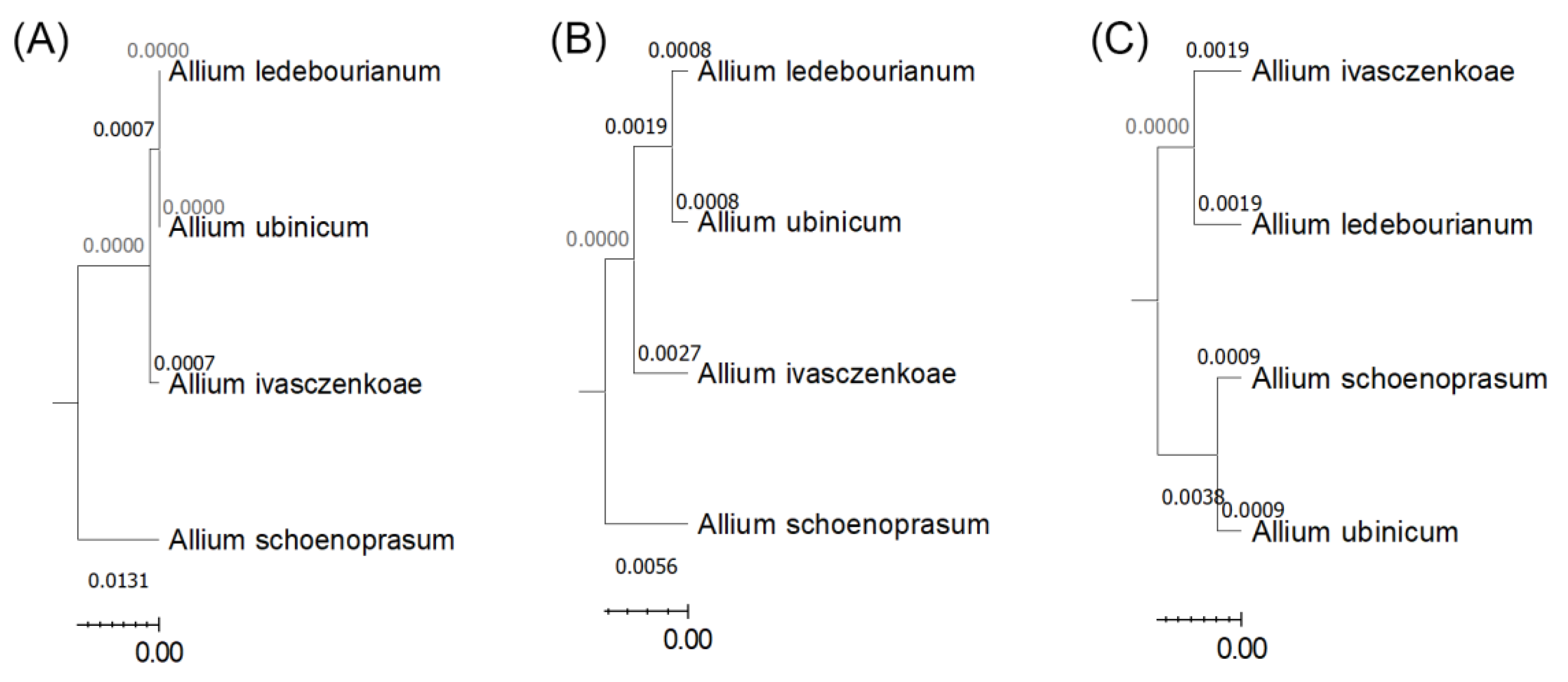 Preprints 184781 g009