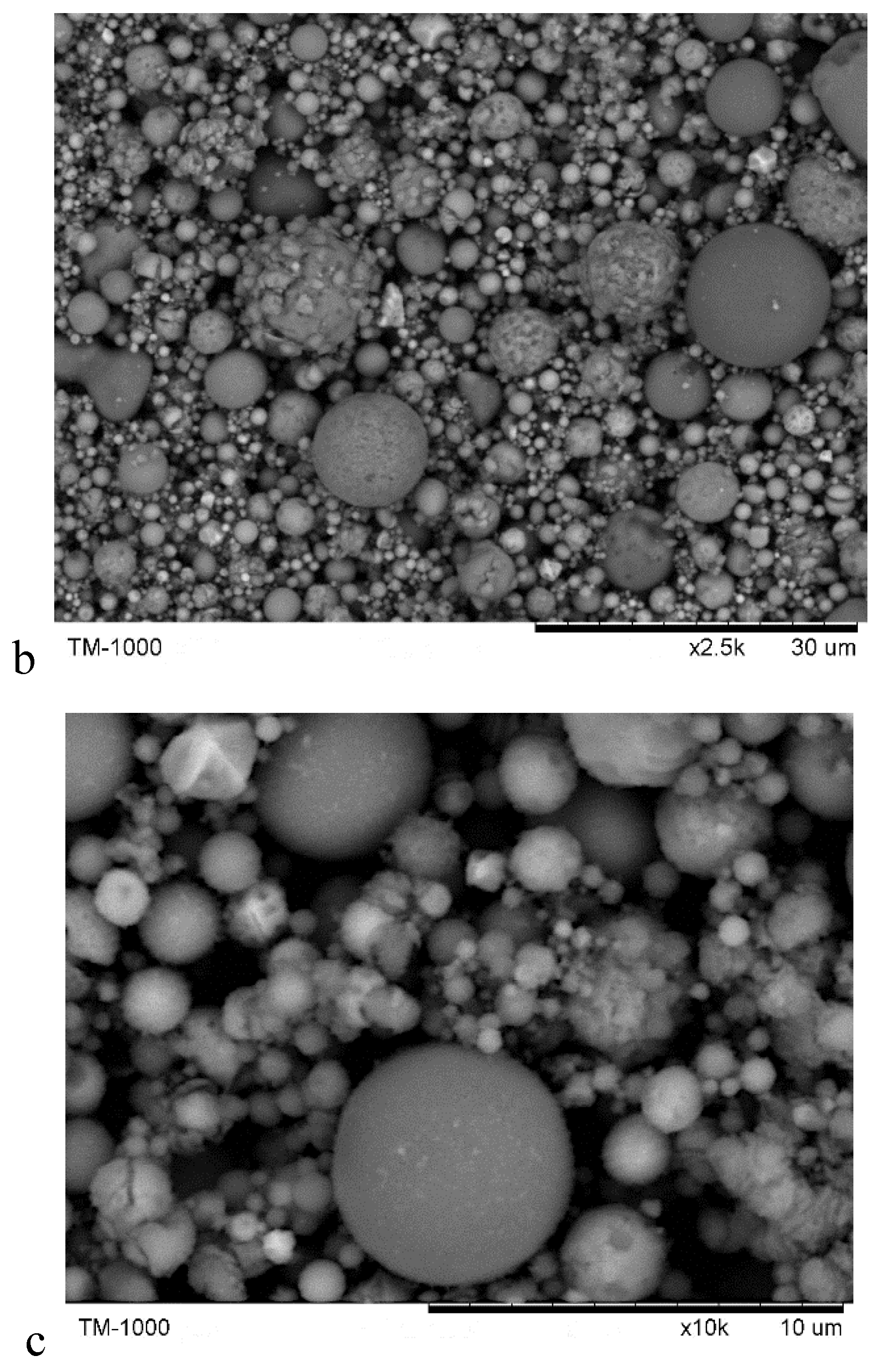 Preprints 208571 g001b