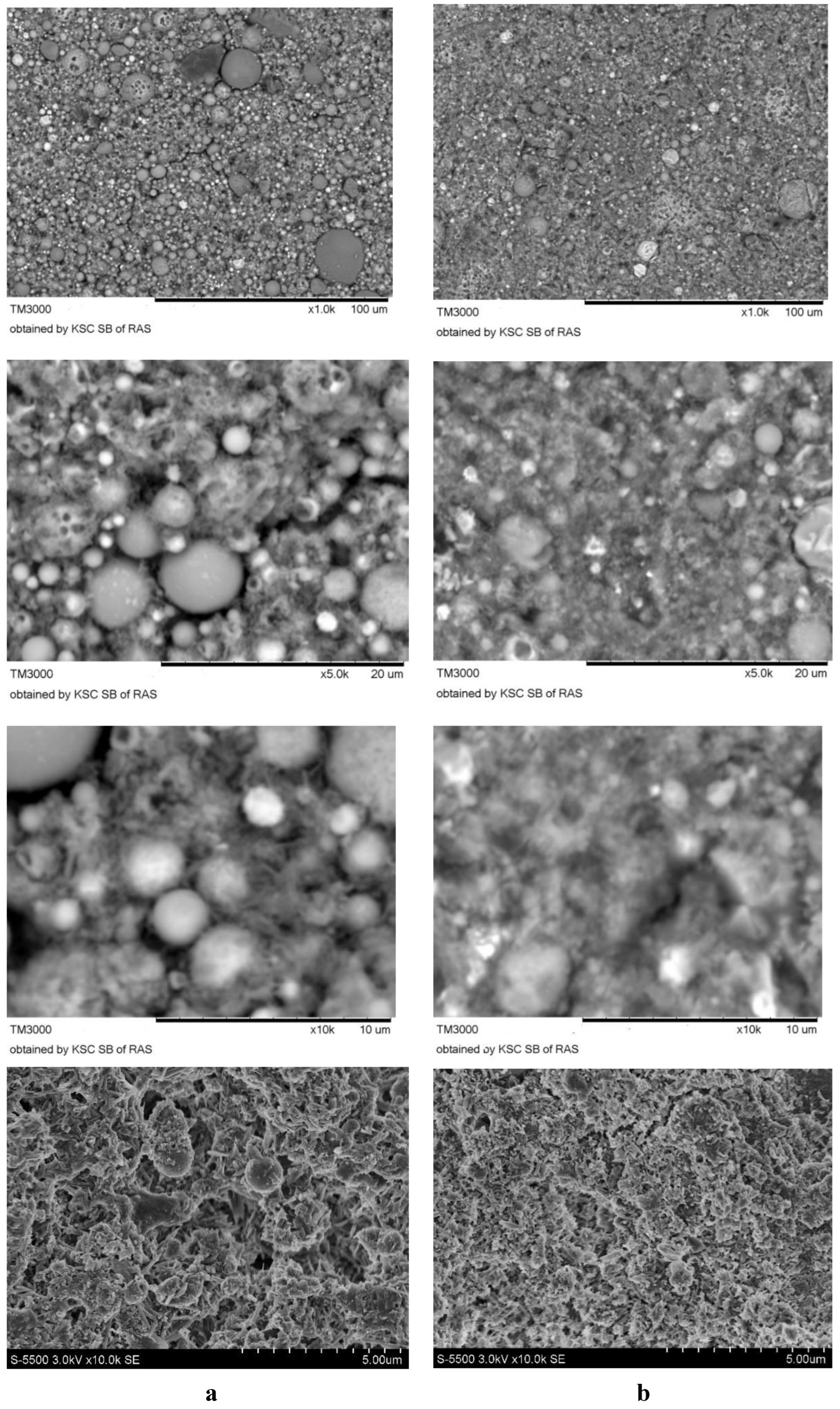 Preprints 208571 g006