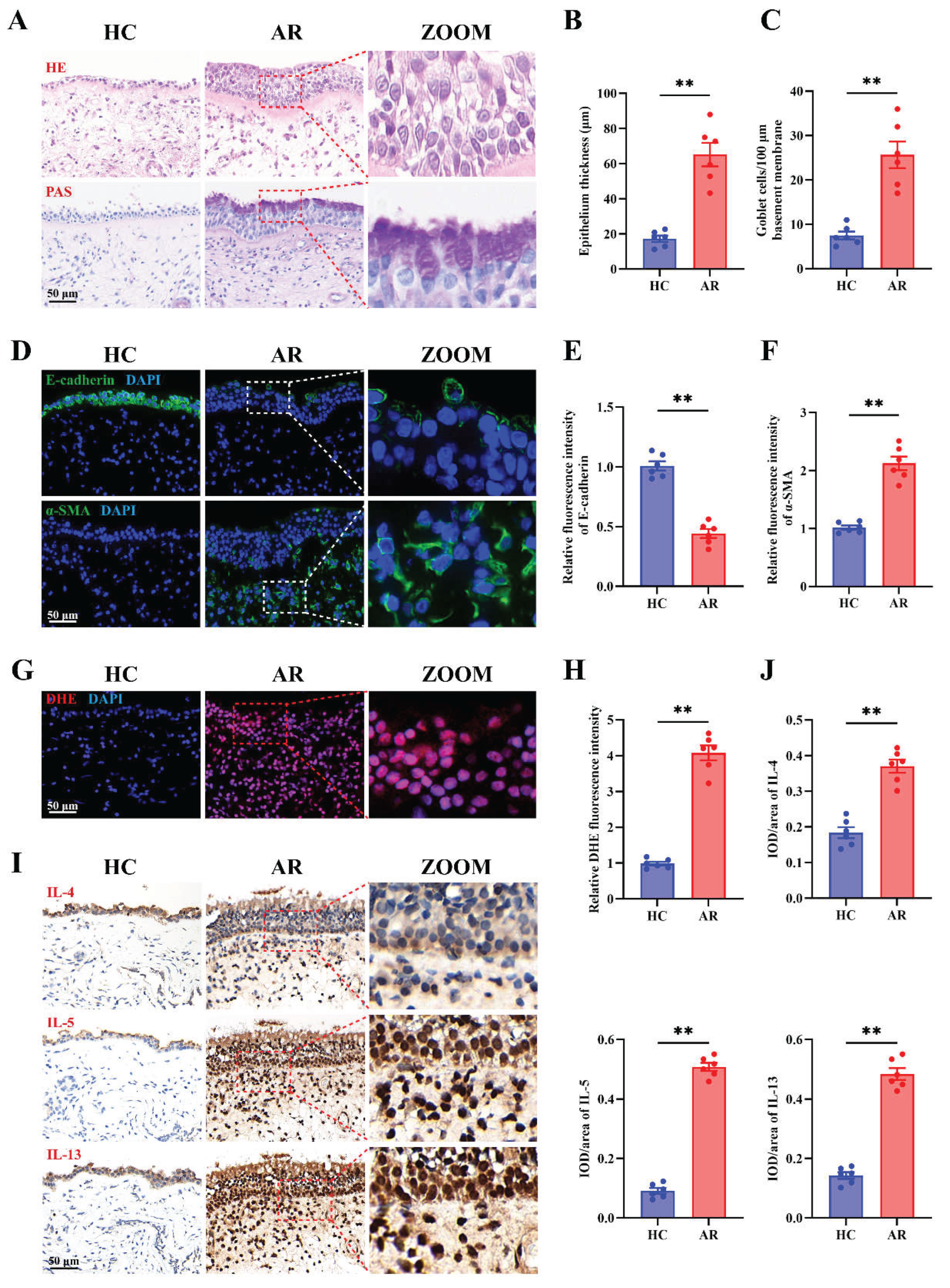 Preprints 186989 g001
