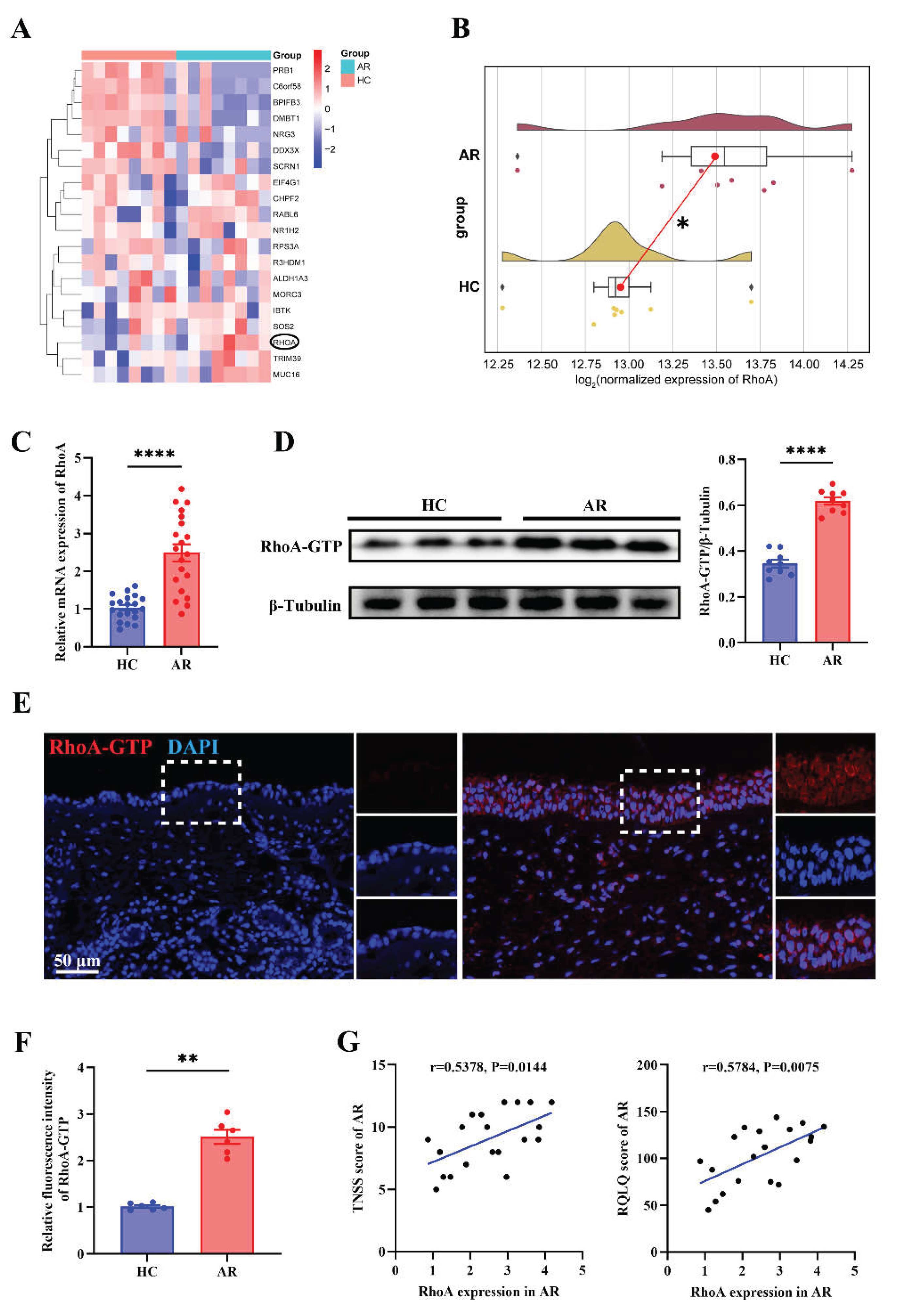 Preprints 186989 g002
