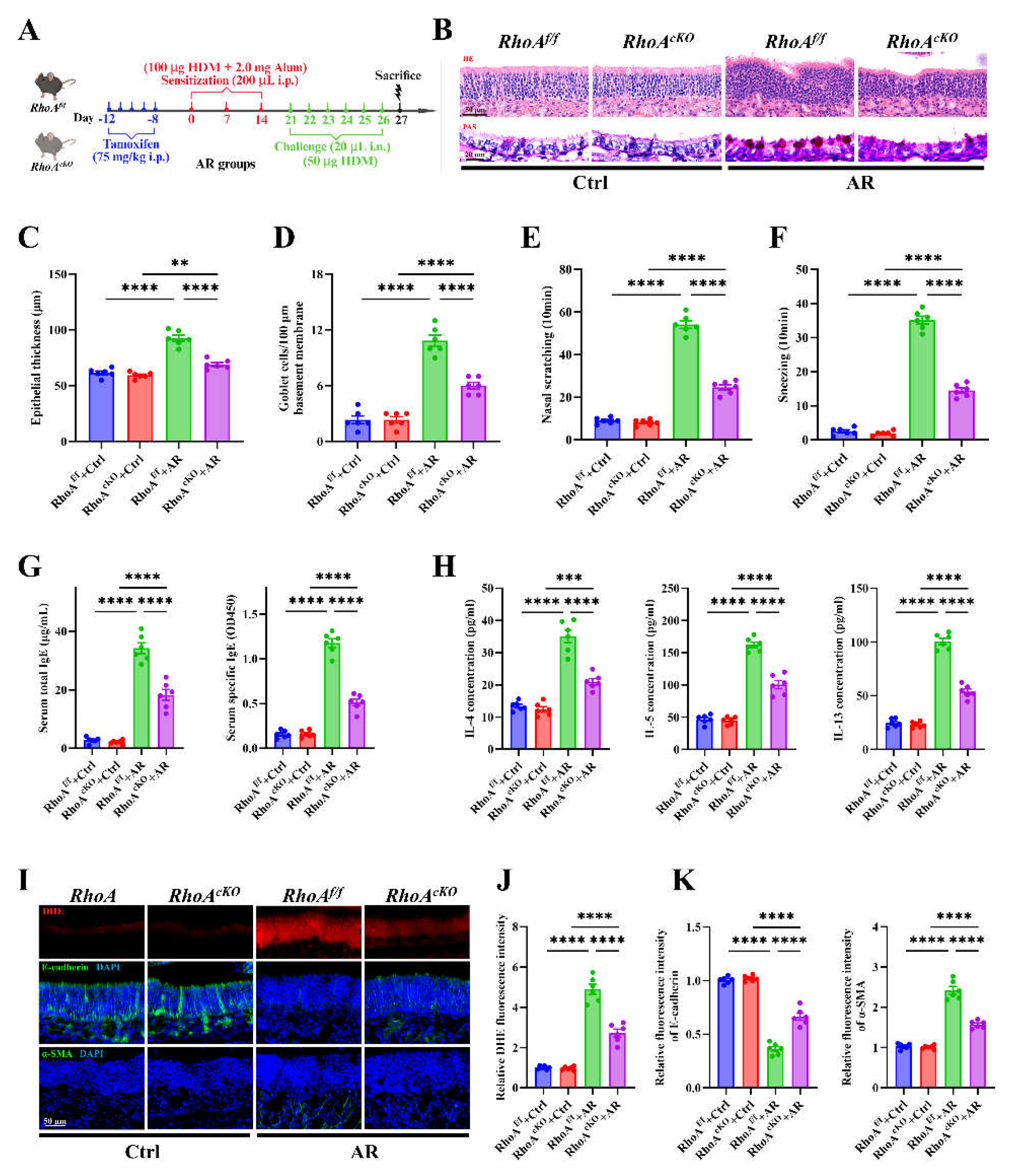 Preprints 186989 g003