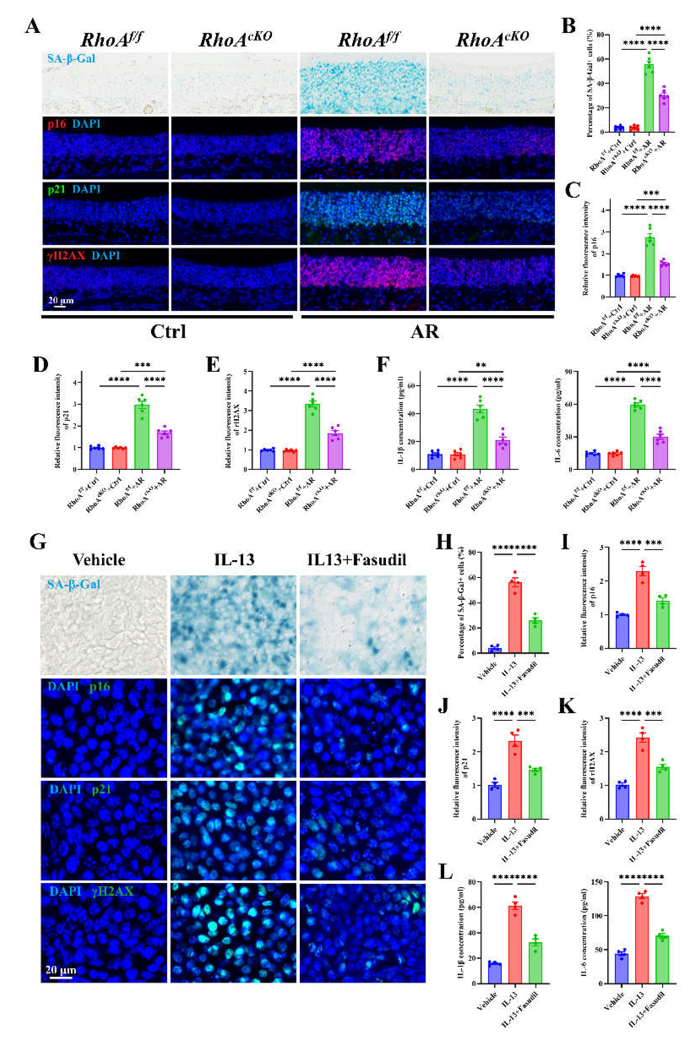 Preprints 186989 g005