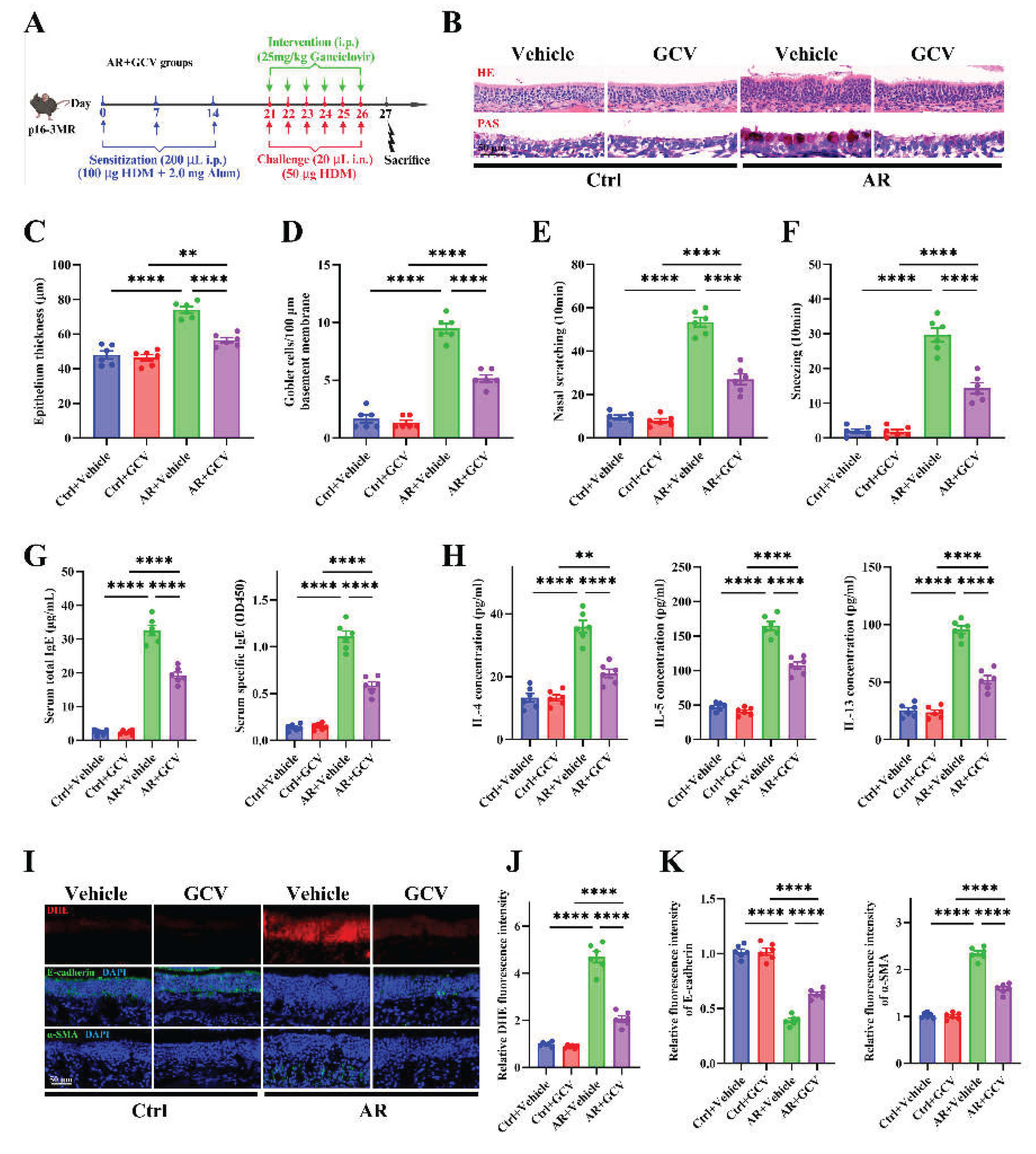 Preprints 186989 g006