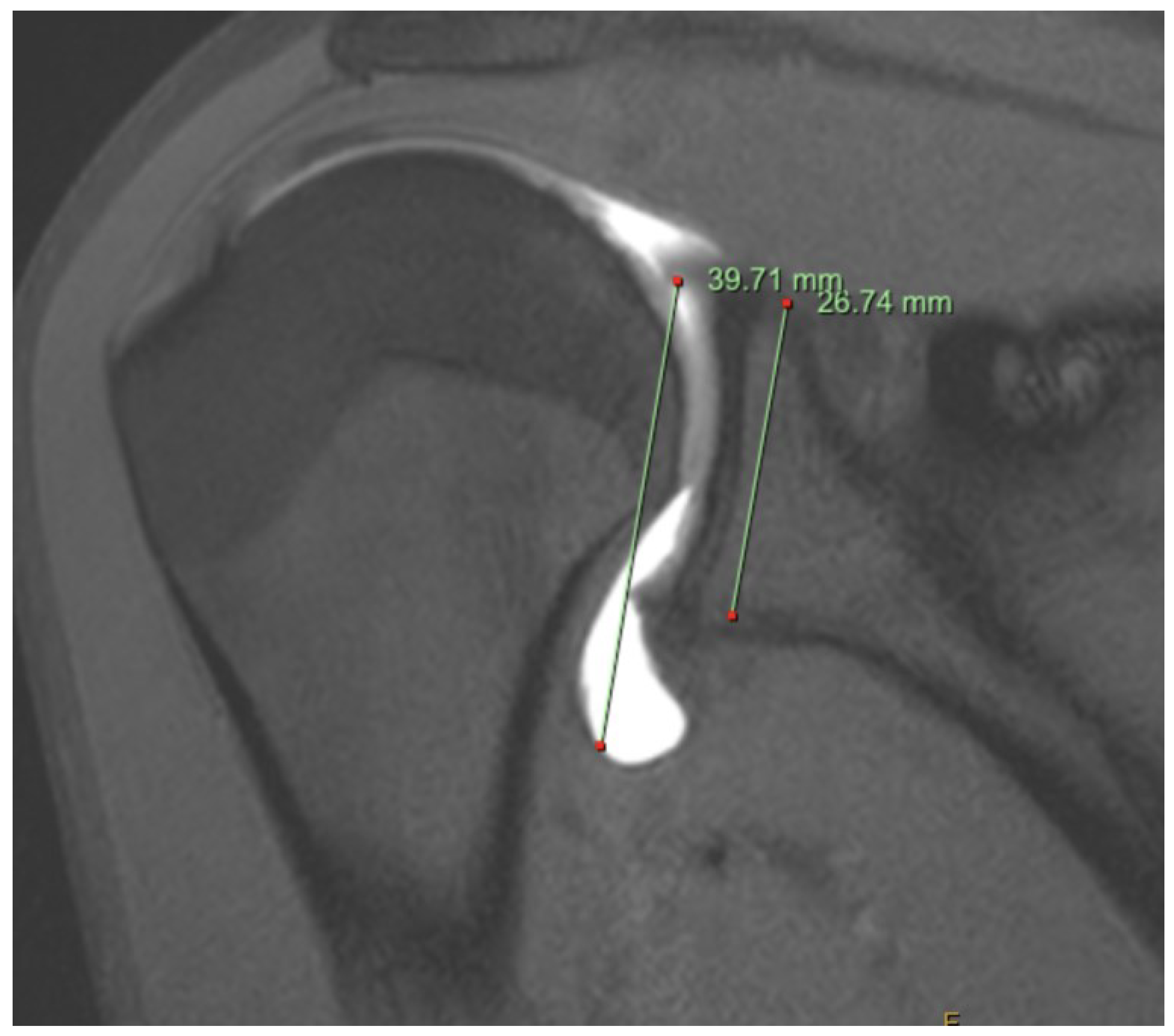 Preprints 91058 g001