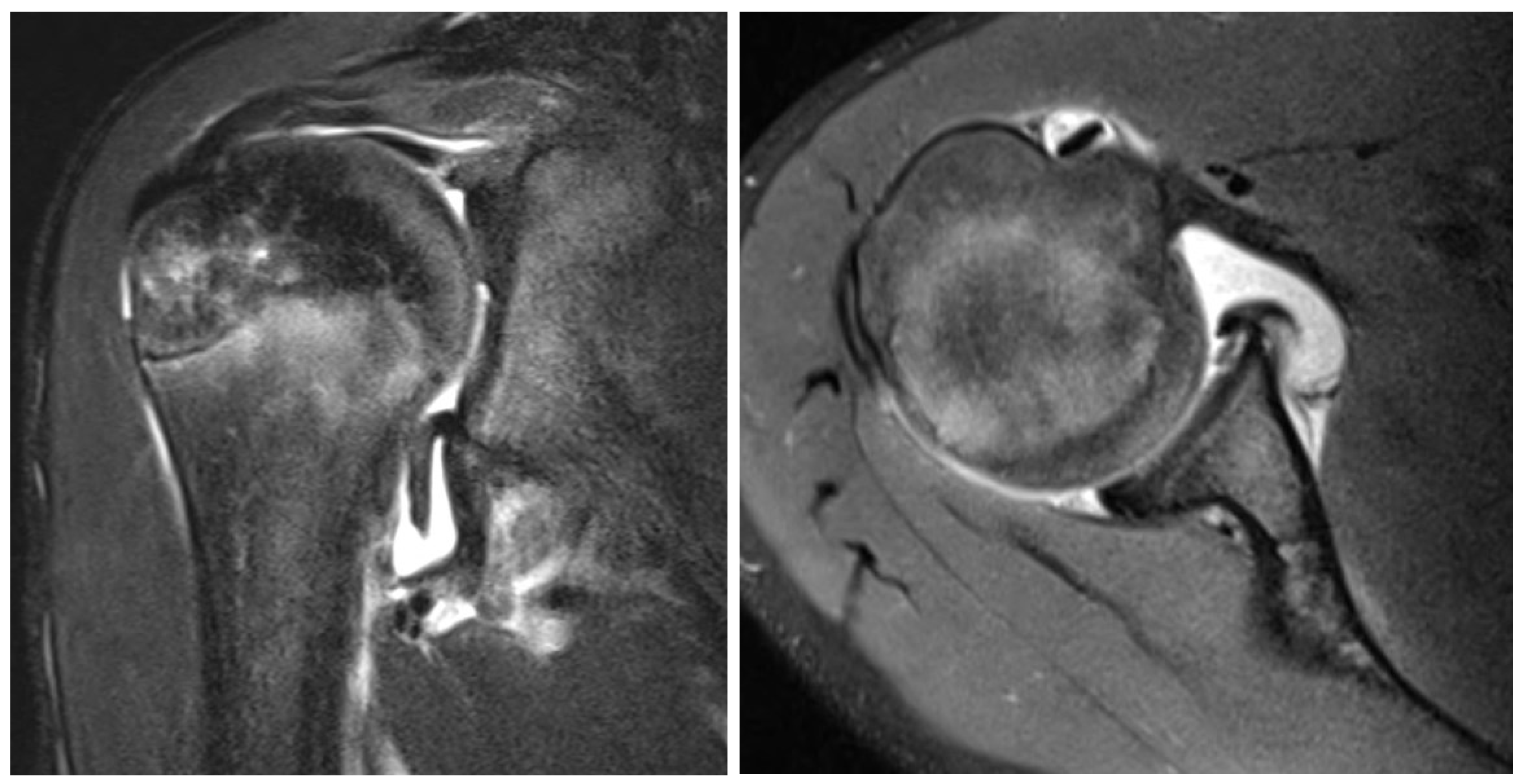 Preprints 91058 g002