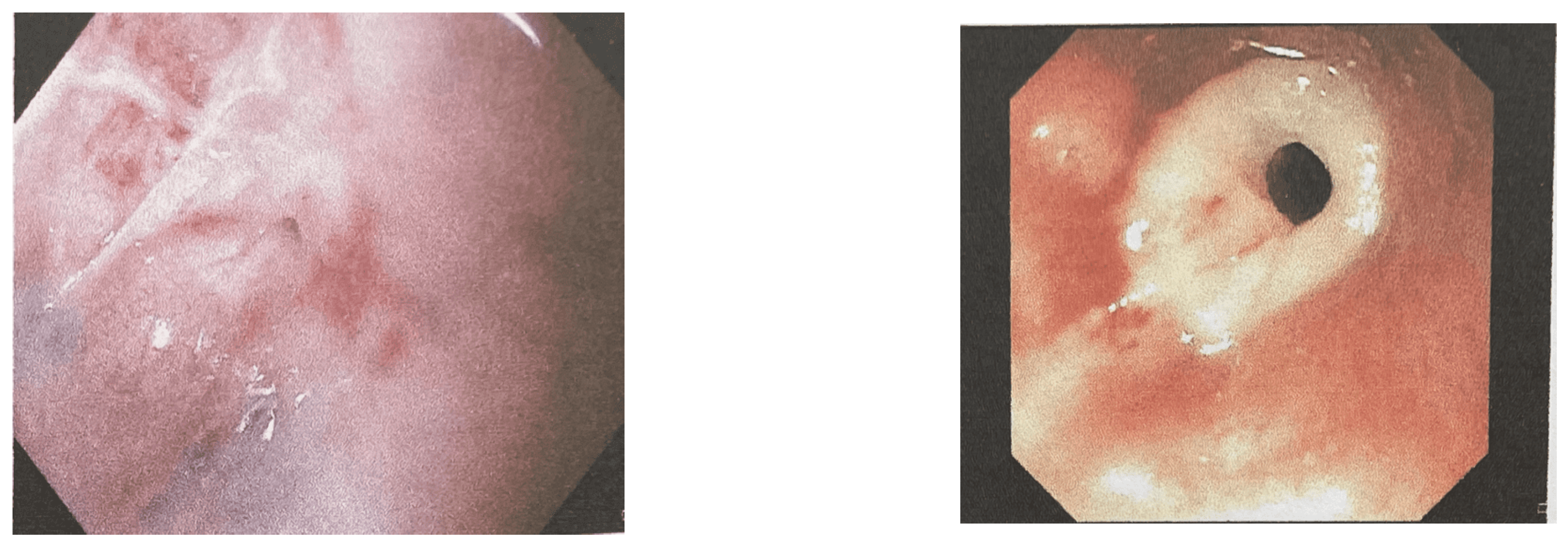 Preprints 71006 g001