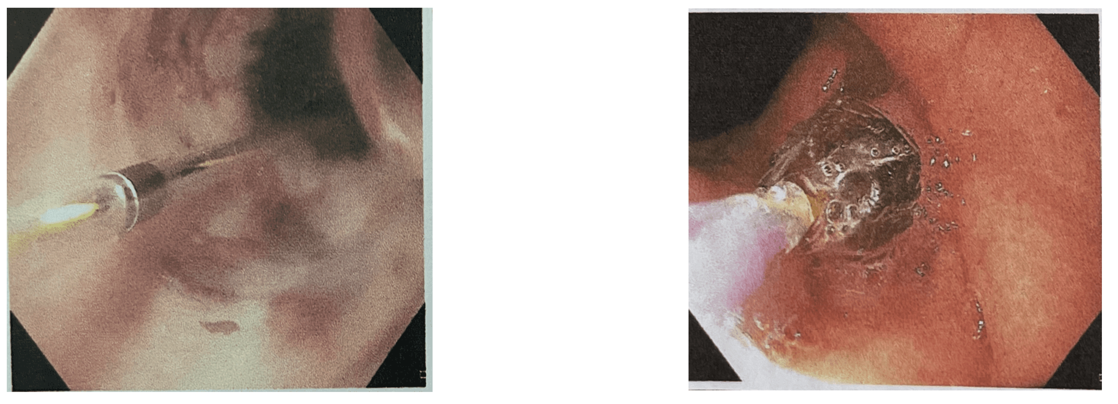 Preprints 71006 g002