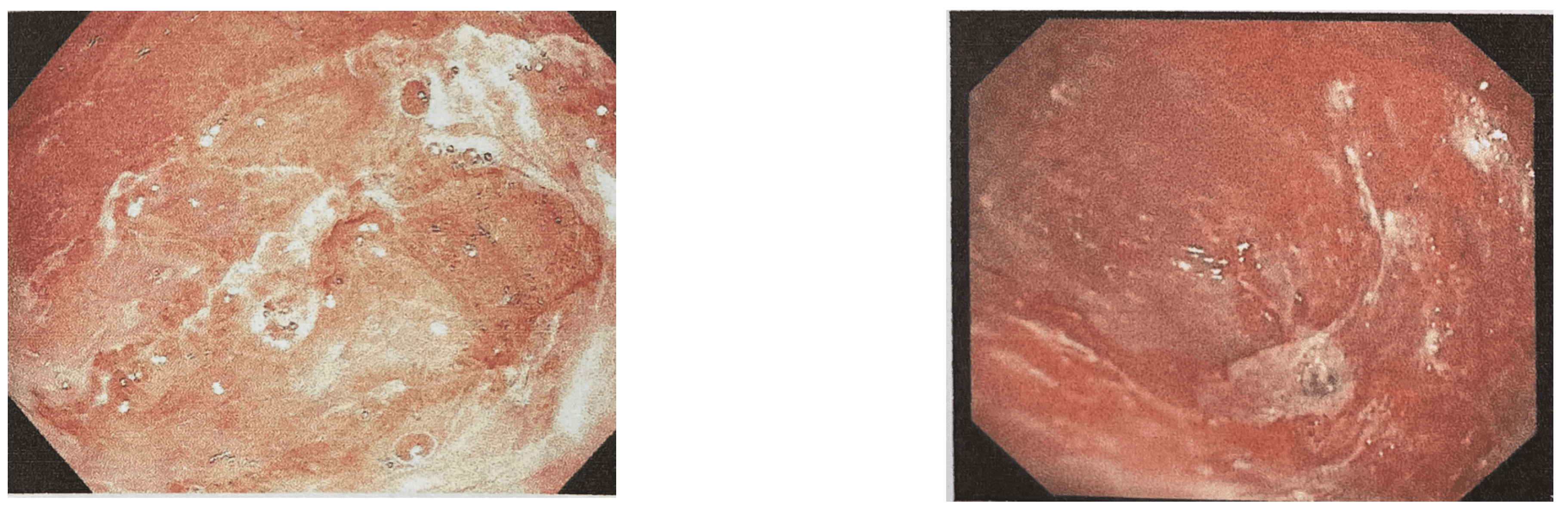 Preprints 71006 g003