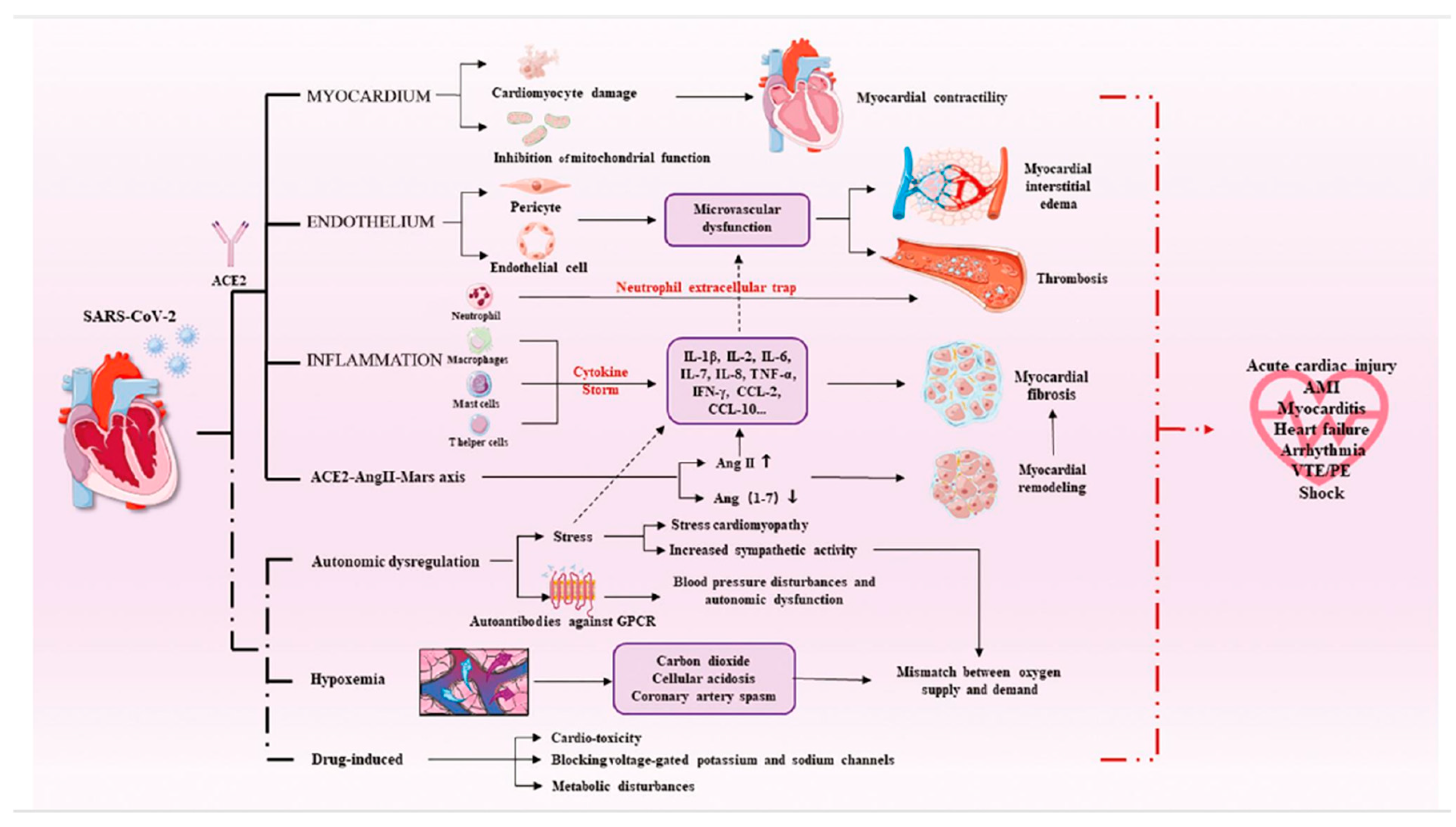 Preprints 93841 g003