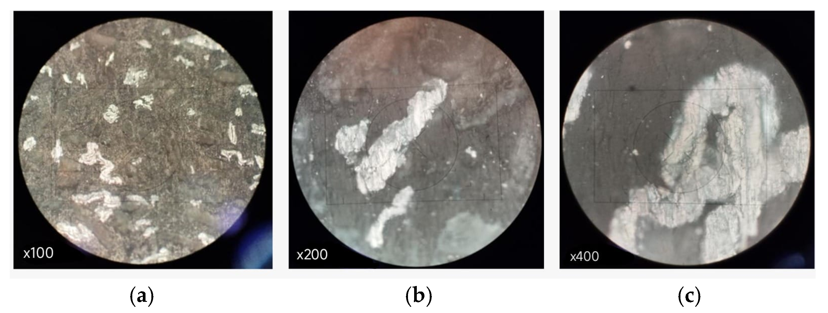 Preprints 195215 g011