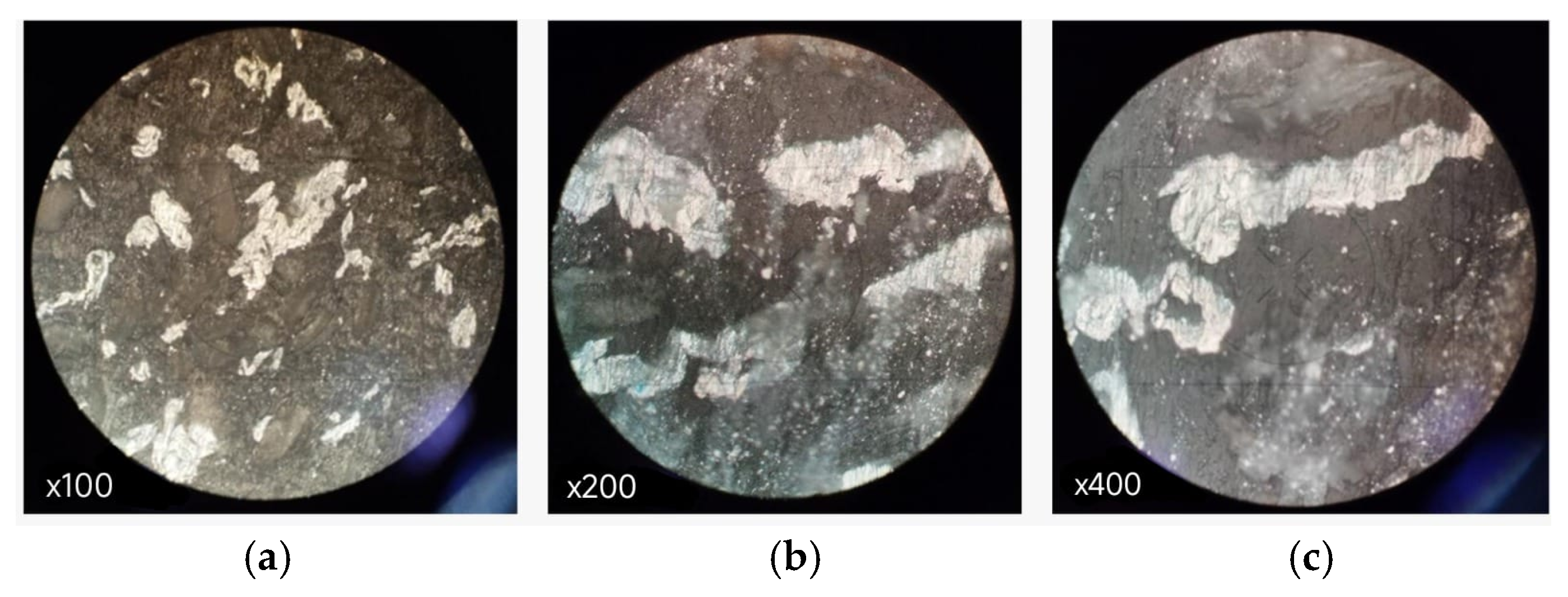 Preprints 195215 g012