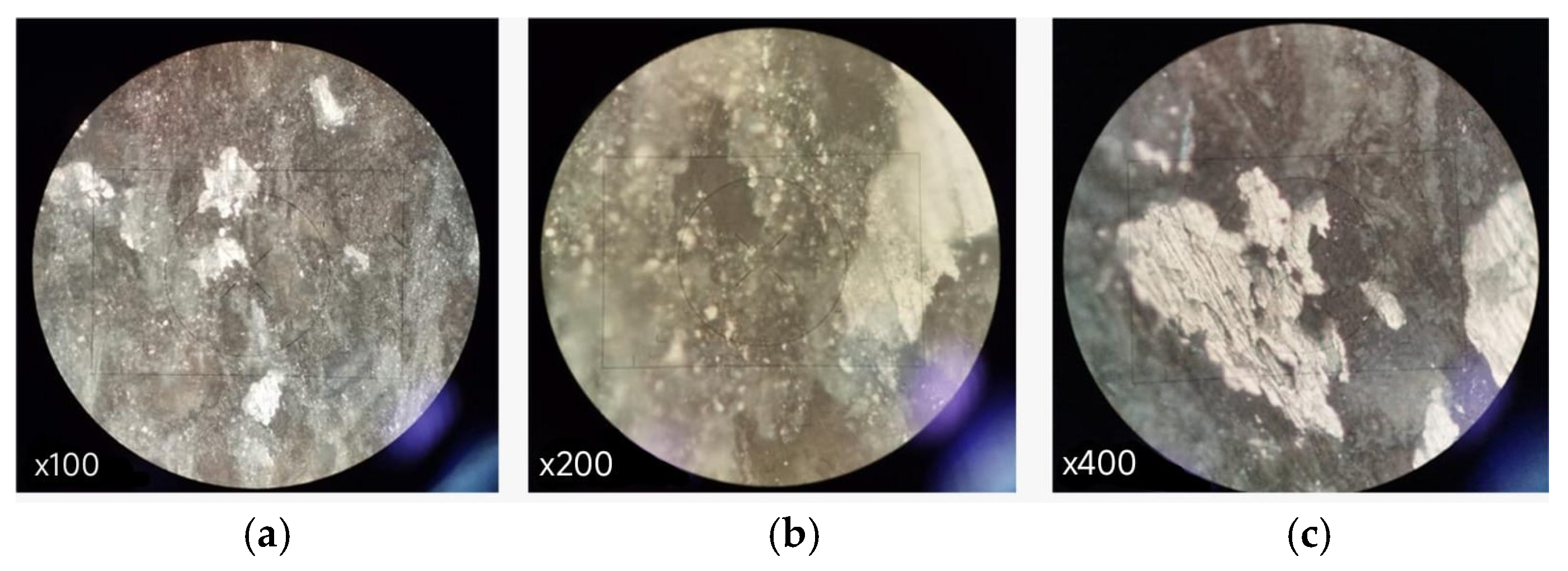 Preprints 195215 g013