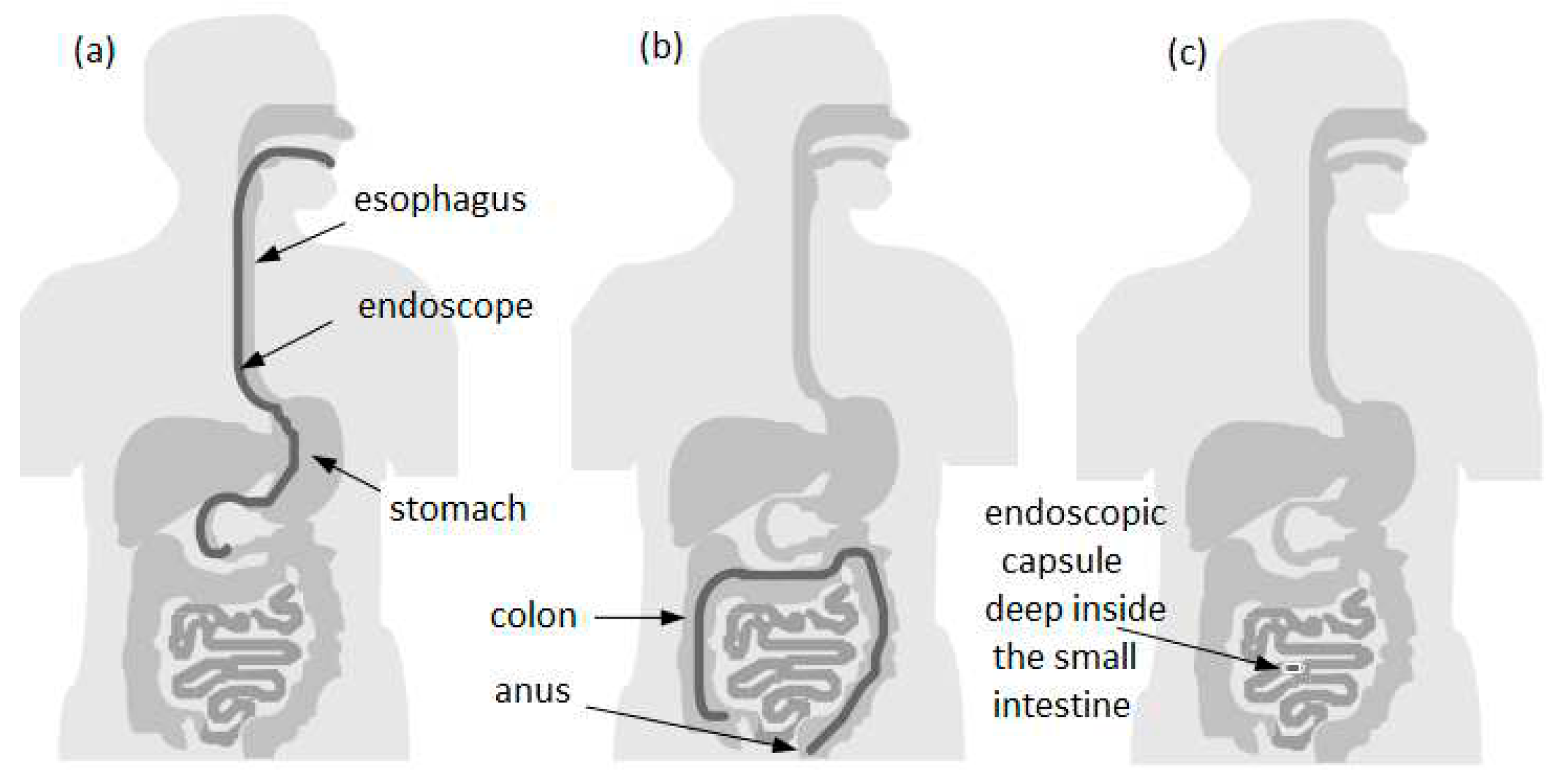 Preprints 73606 g001