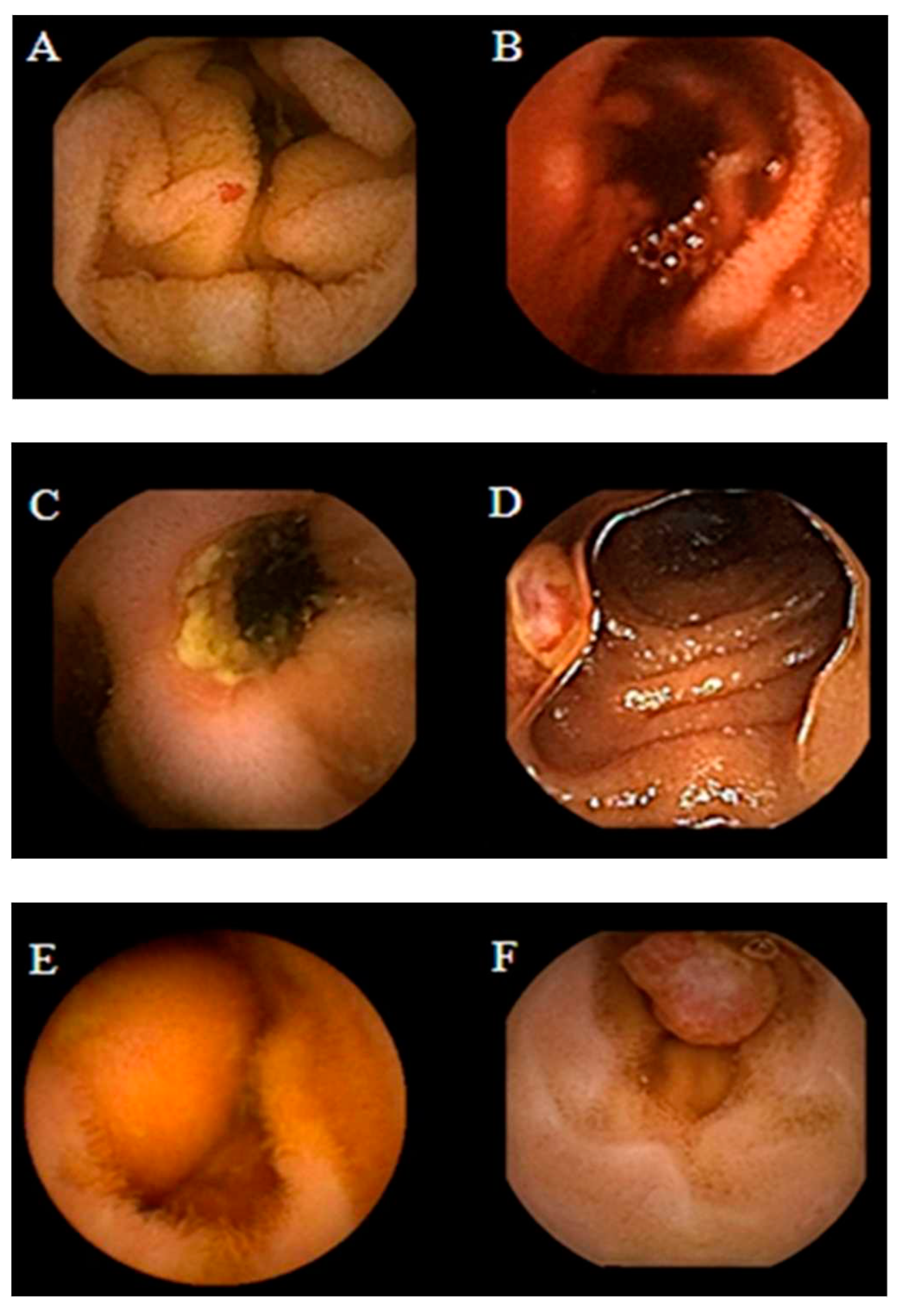 Preprints 73606 g002