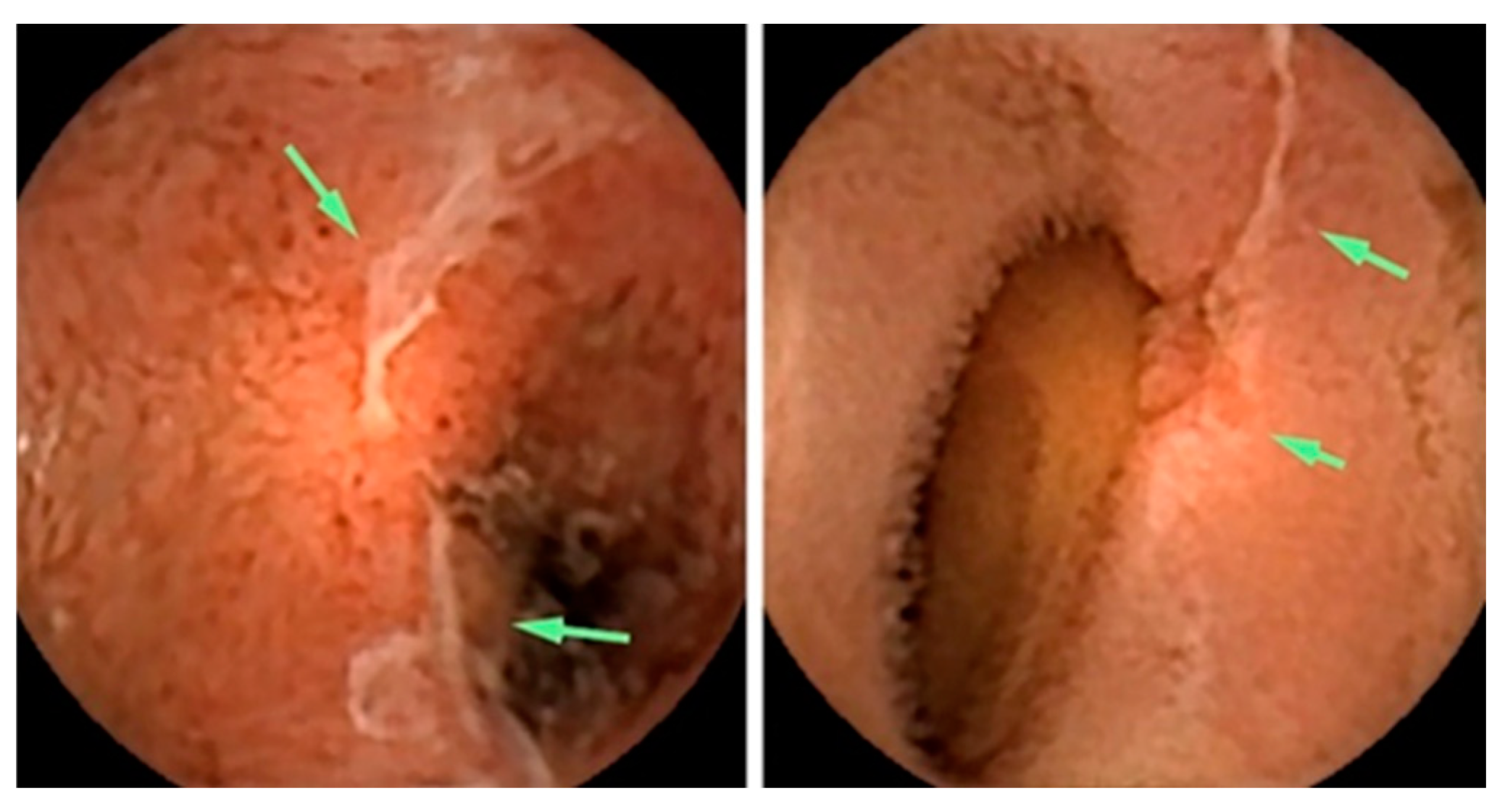 Preprints 73606 g003