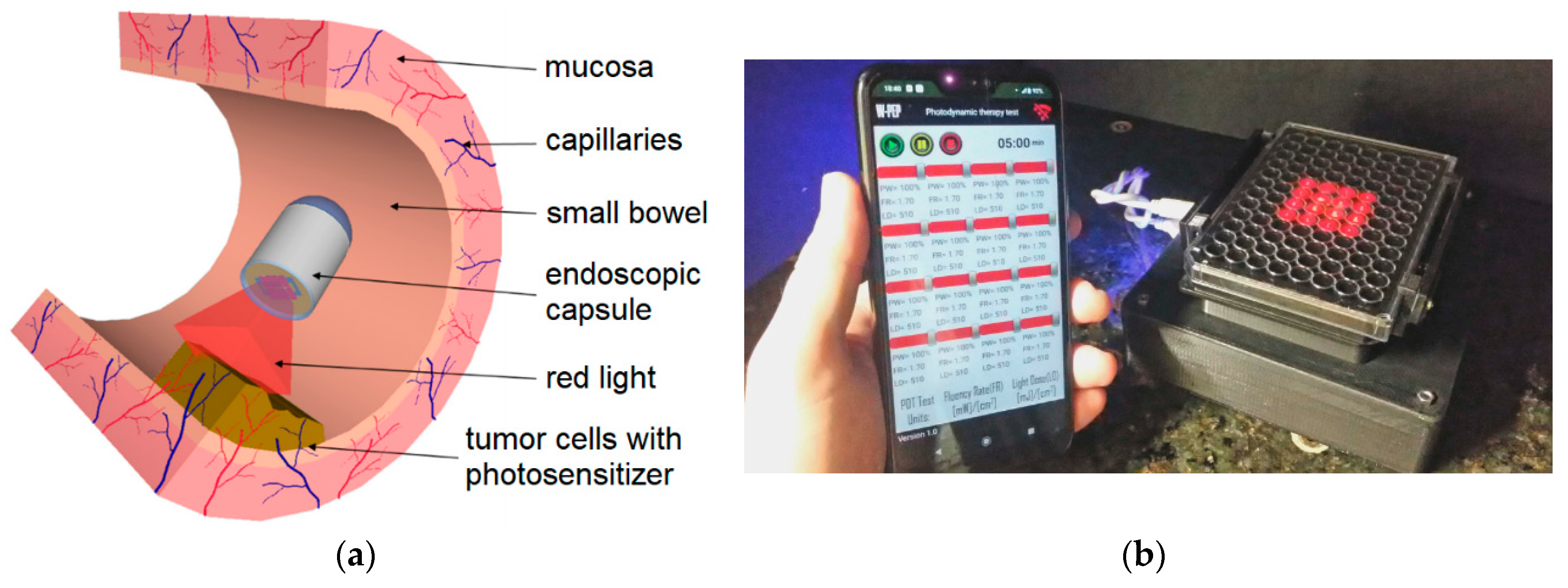 Preprints 73606 g005