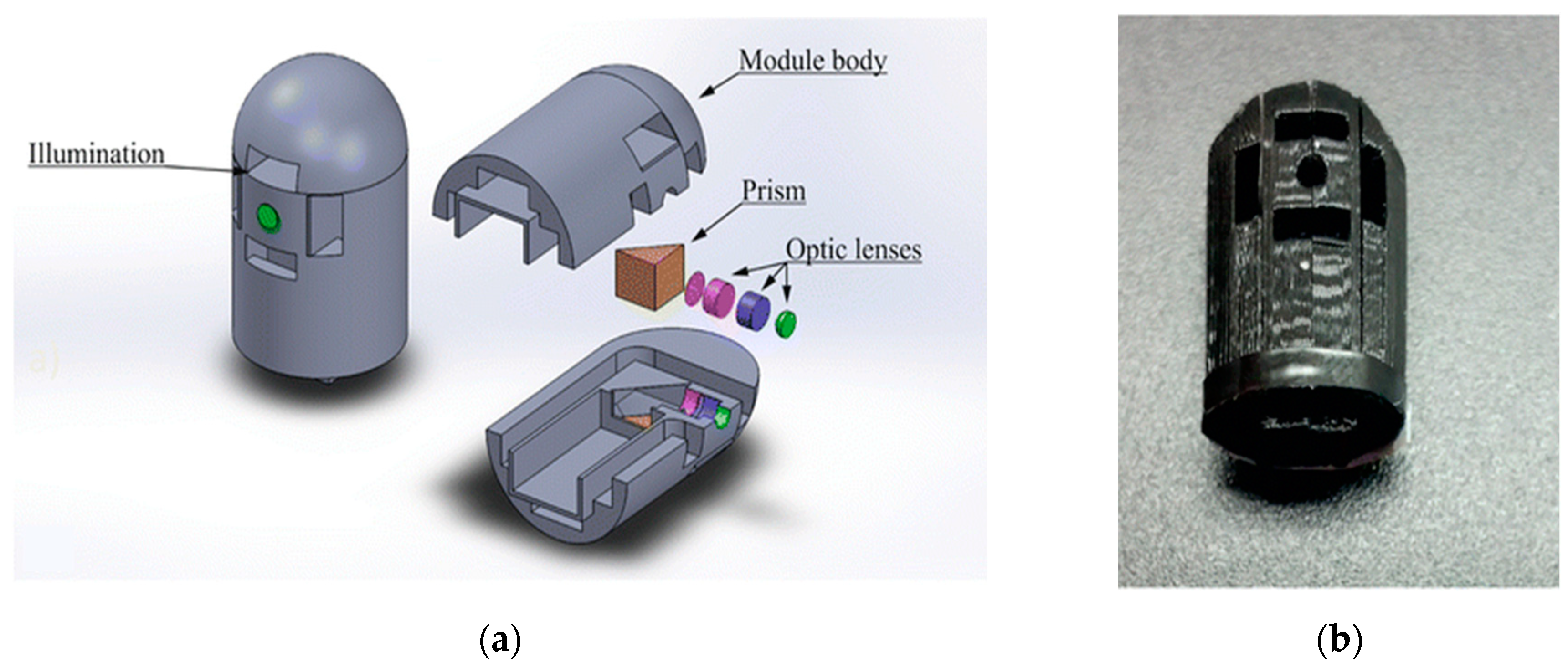 Preprints 73606 g006
