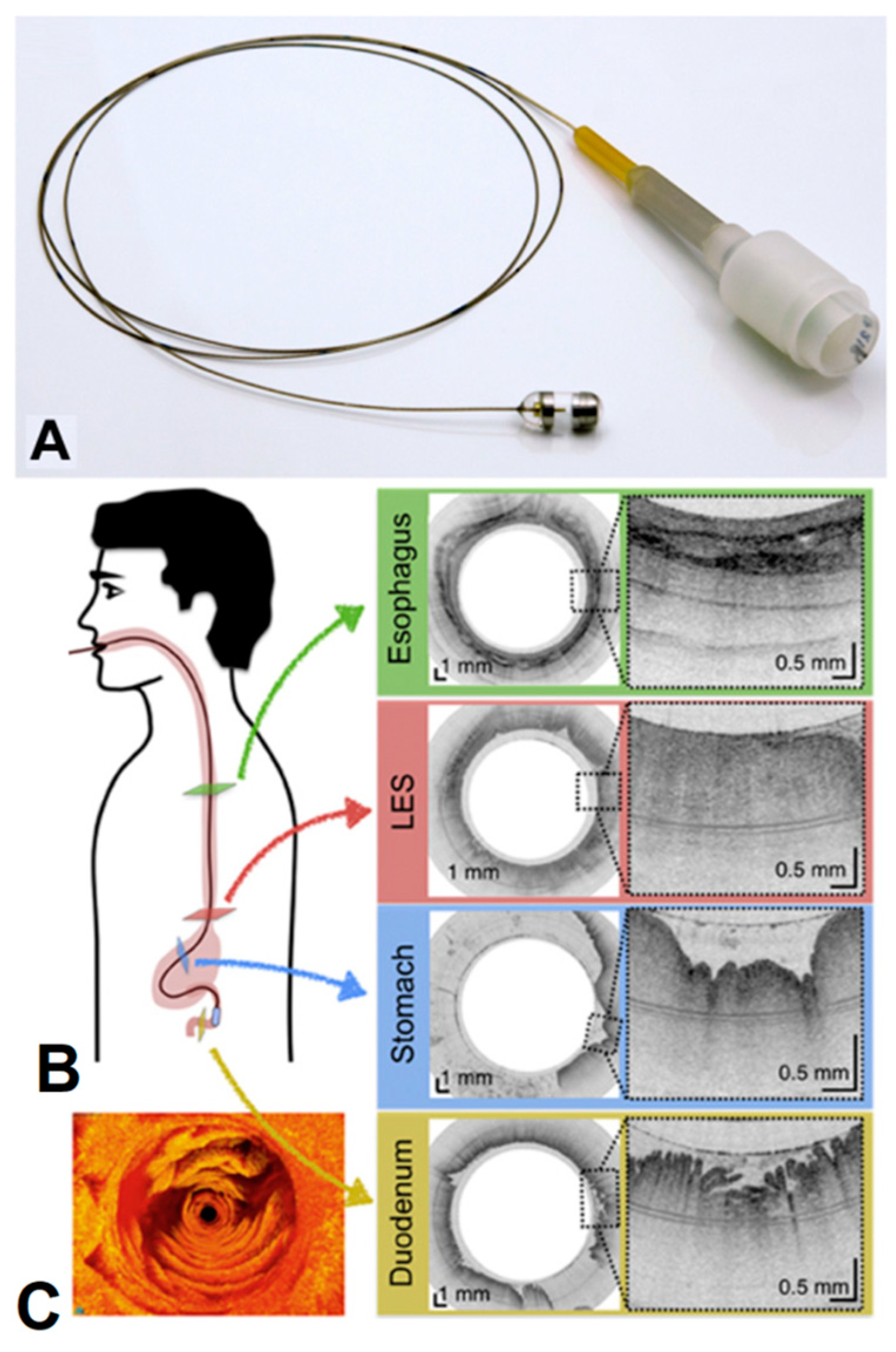 Preprints 73606 g009