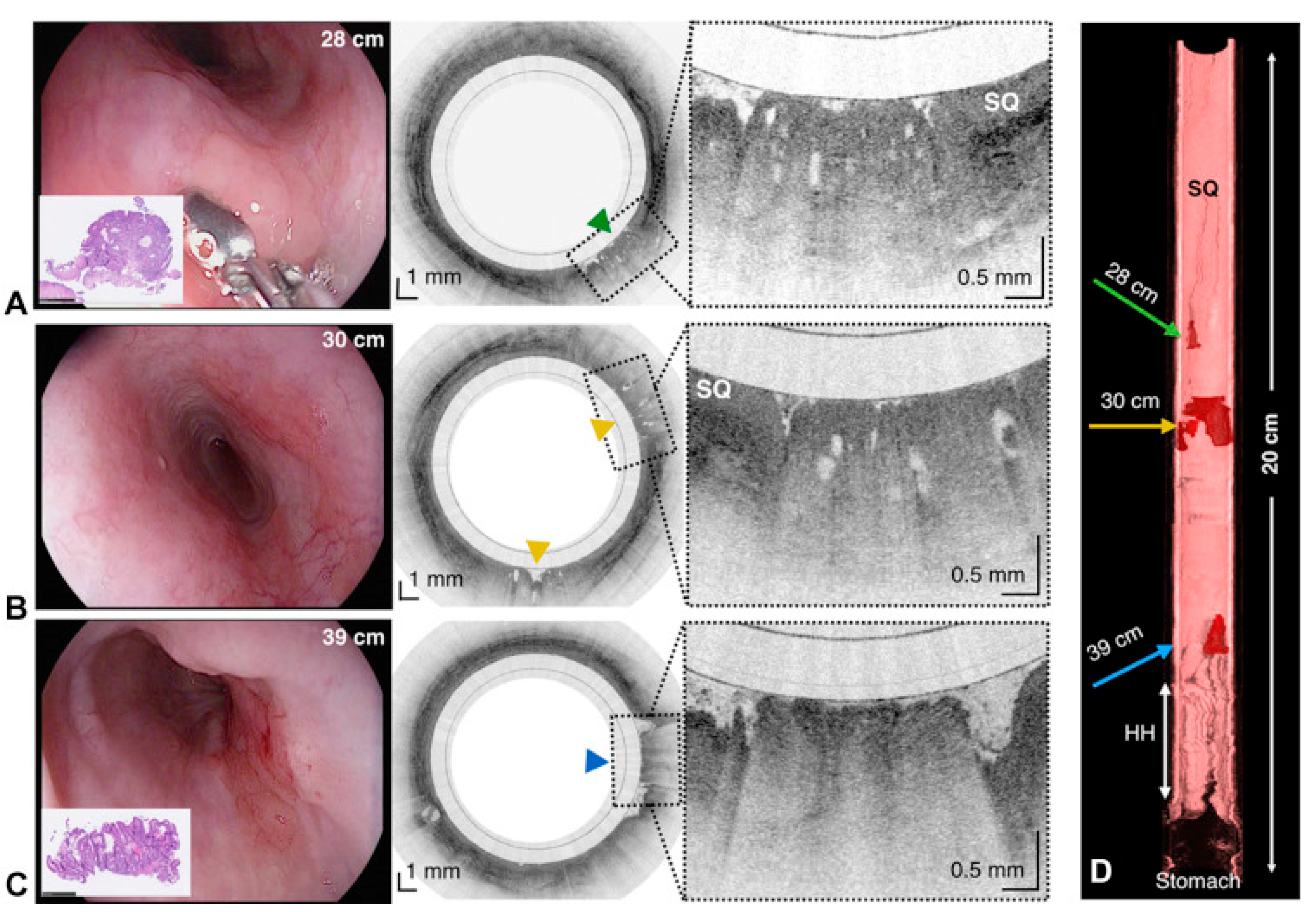 Preprints 73606 g010