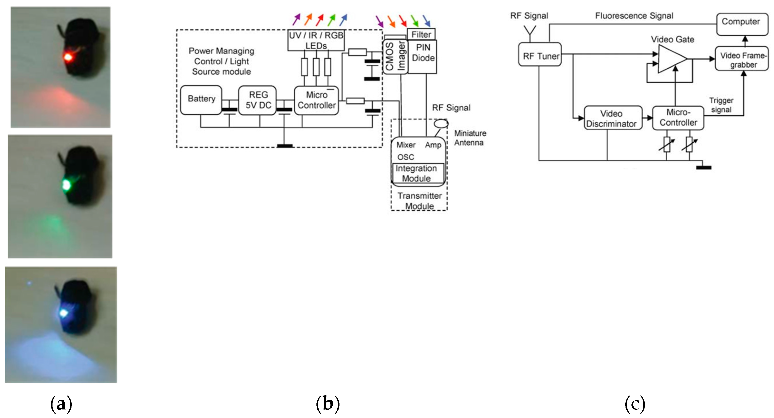 Preprints 73606 g011