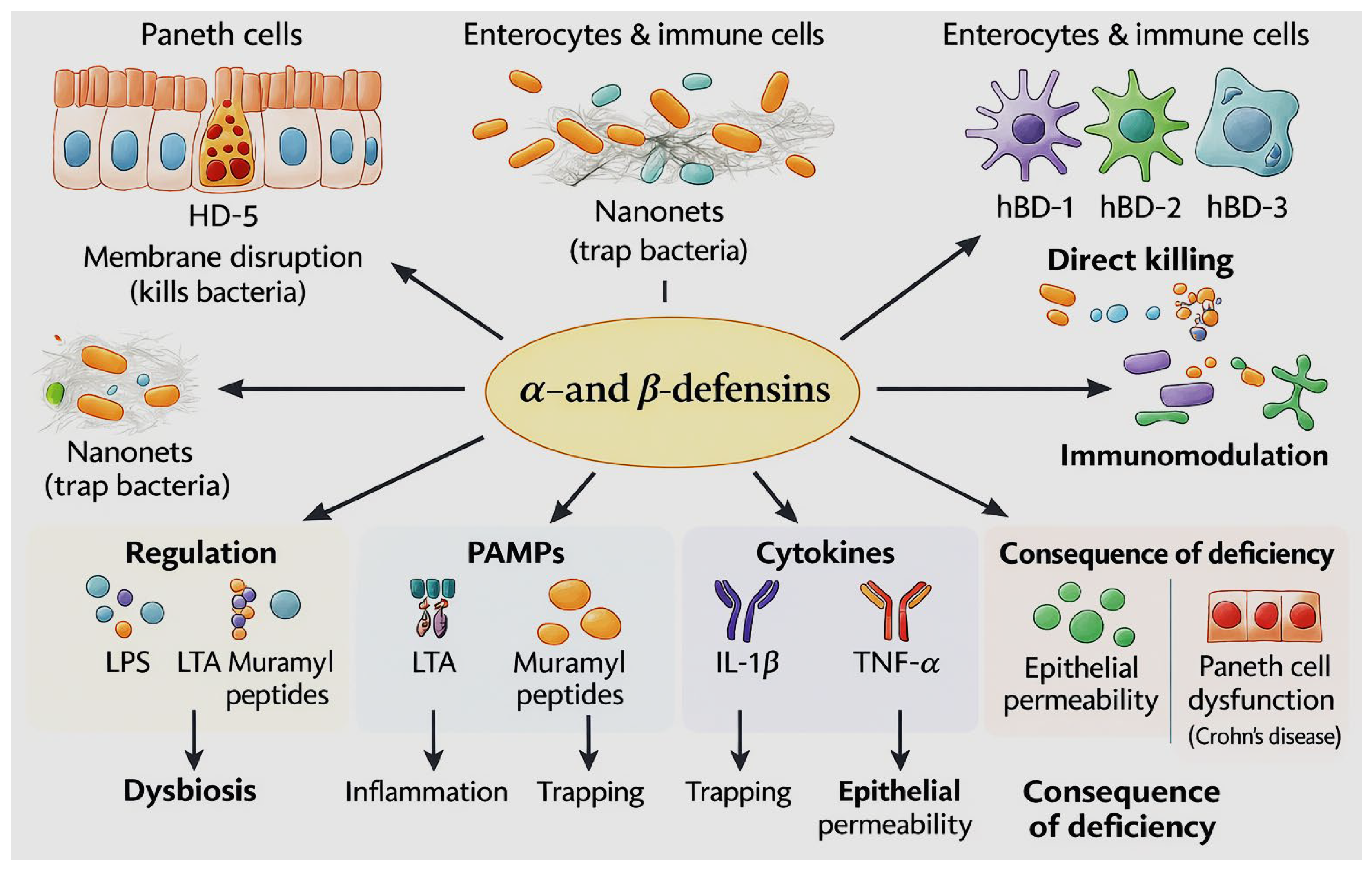 Preprints 192312 g001